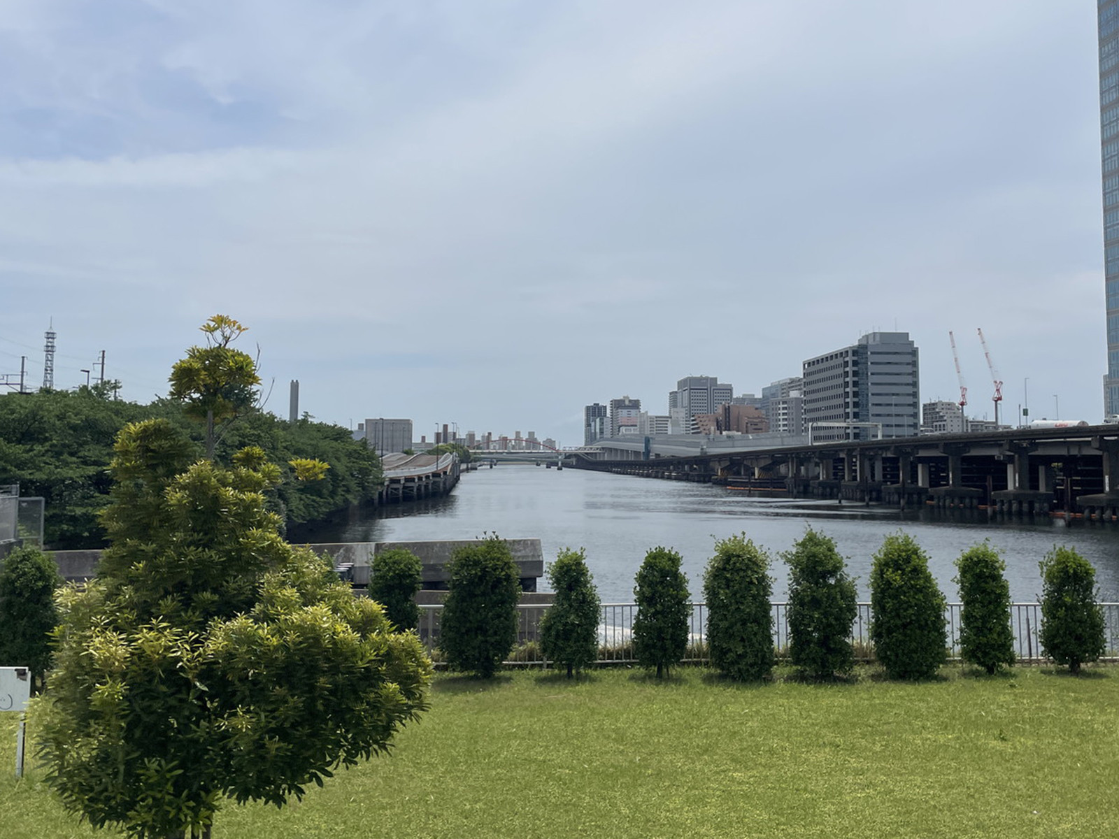 付近の京浜運河