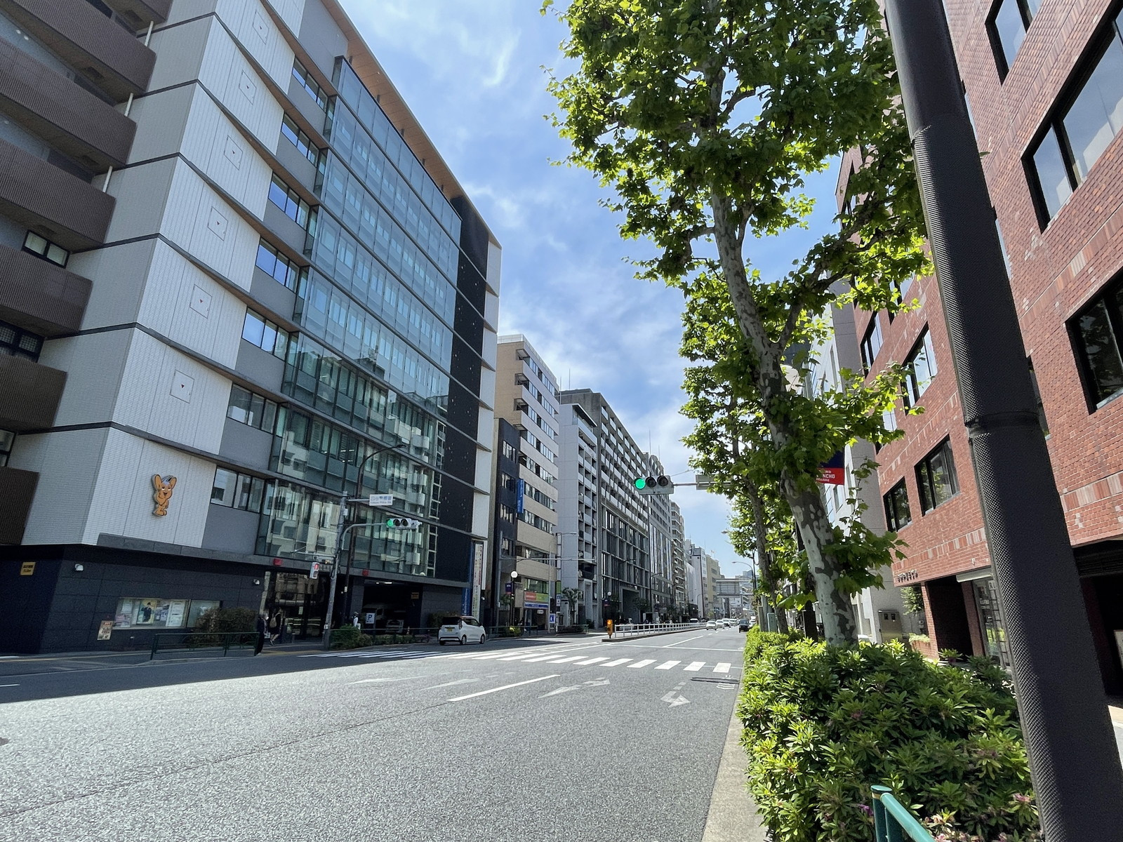 左門イレブンビル前面の外苑東通り
