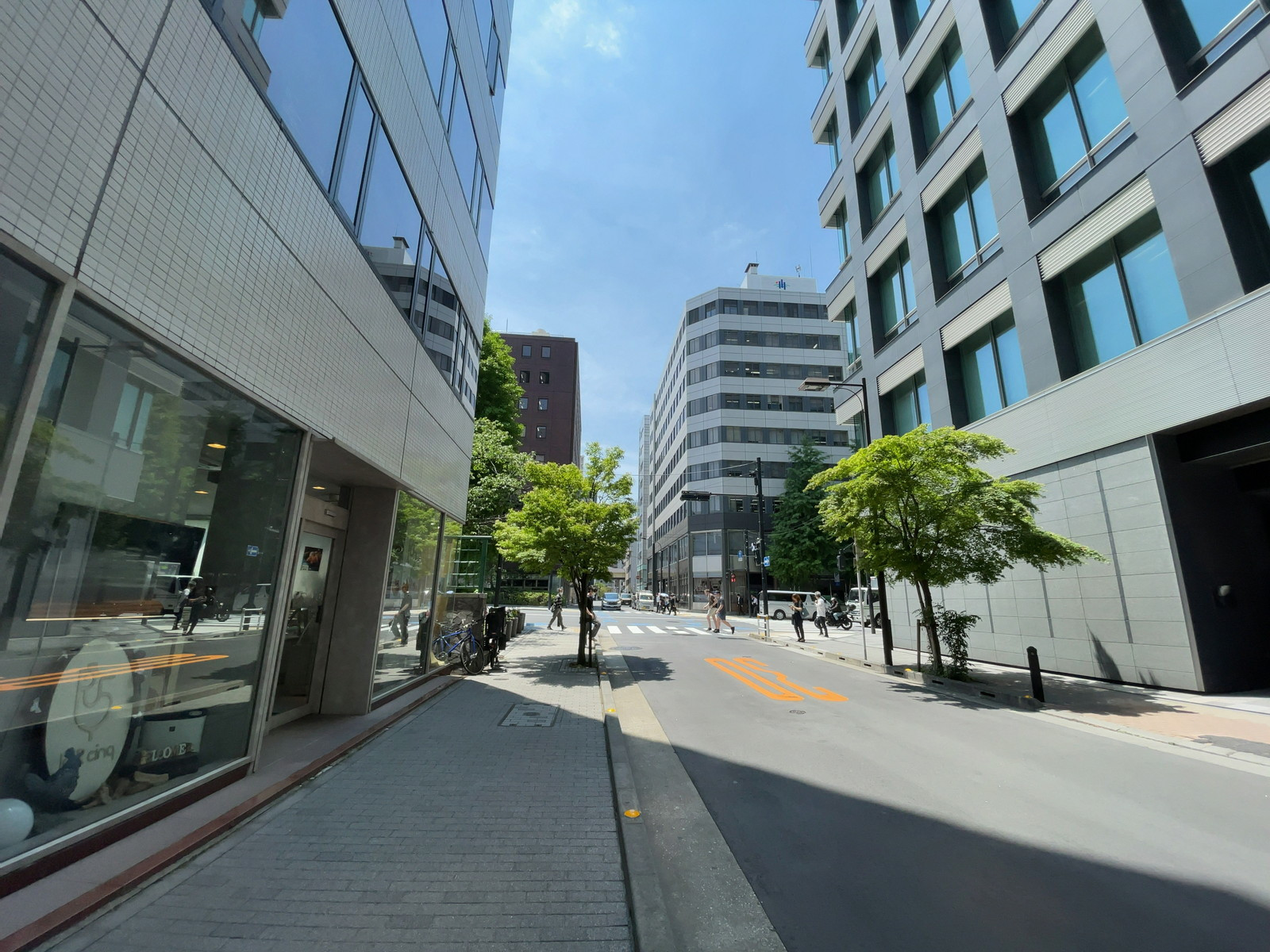 明海京橋ビル前面の通り