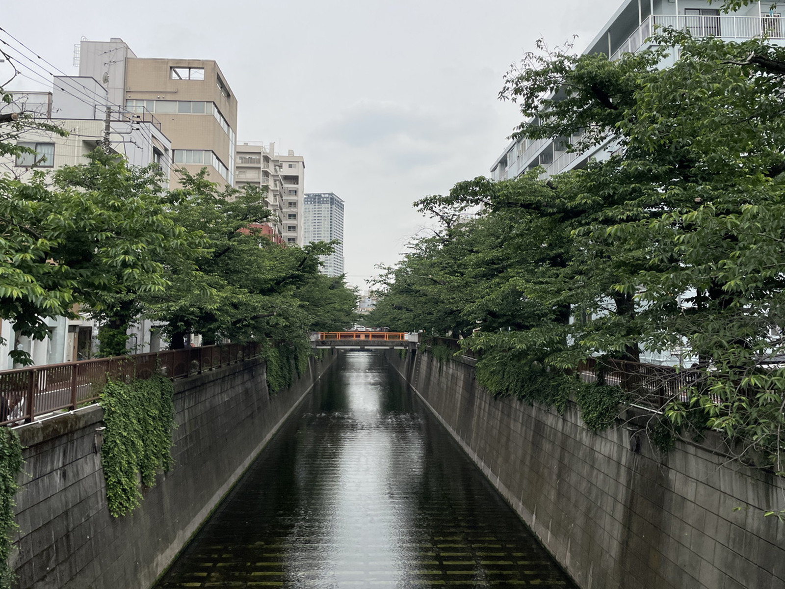 至近の目黒川
