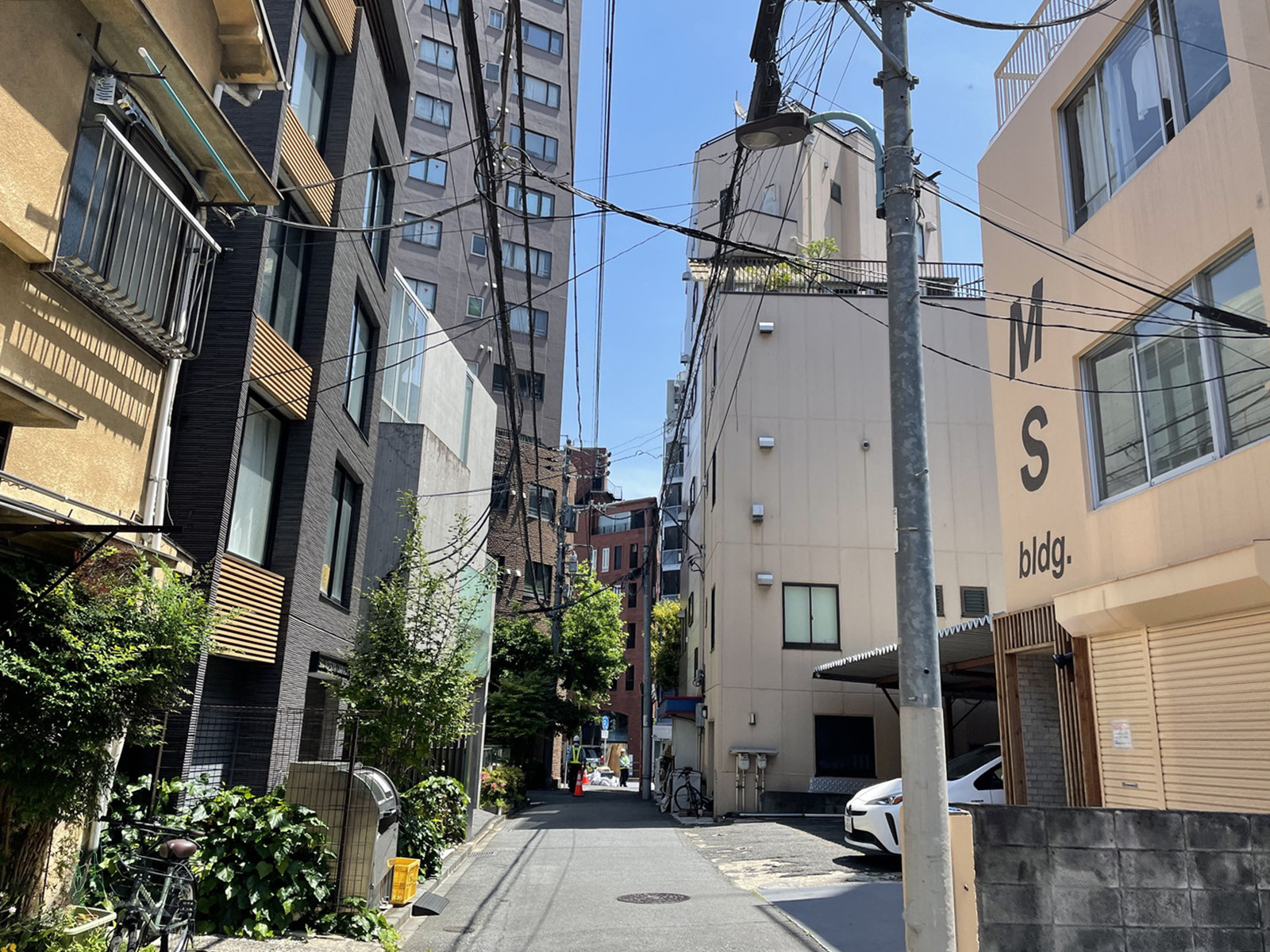 MSビル前面の通り