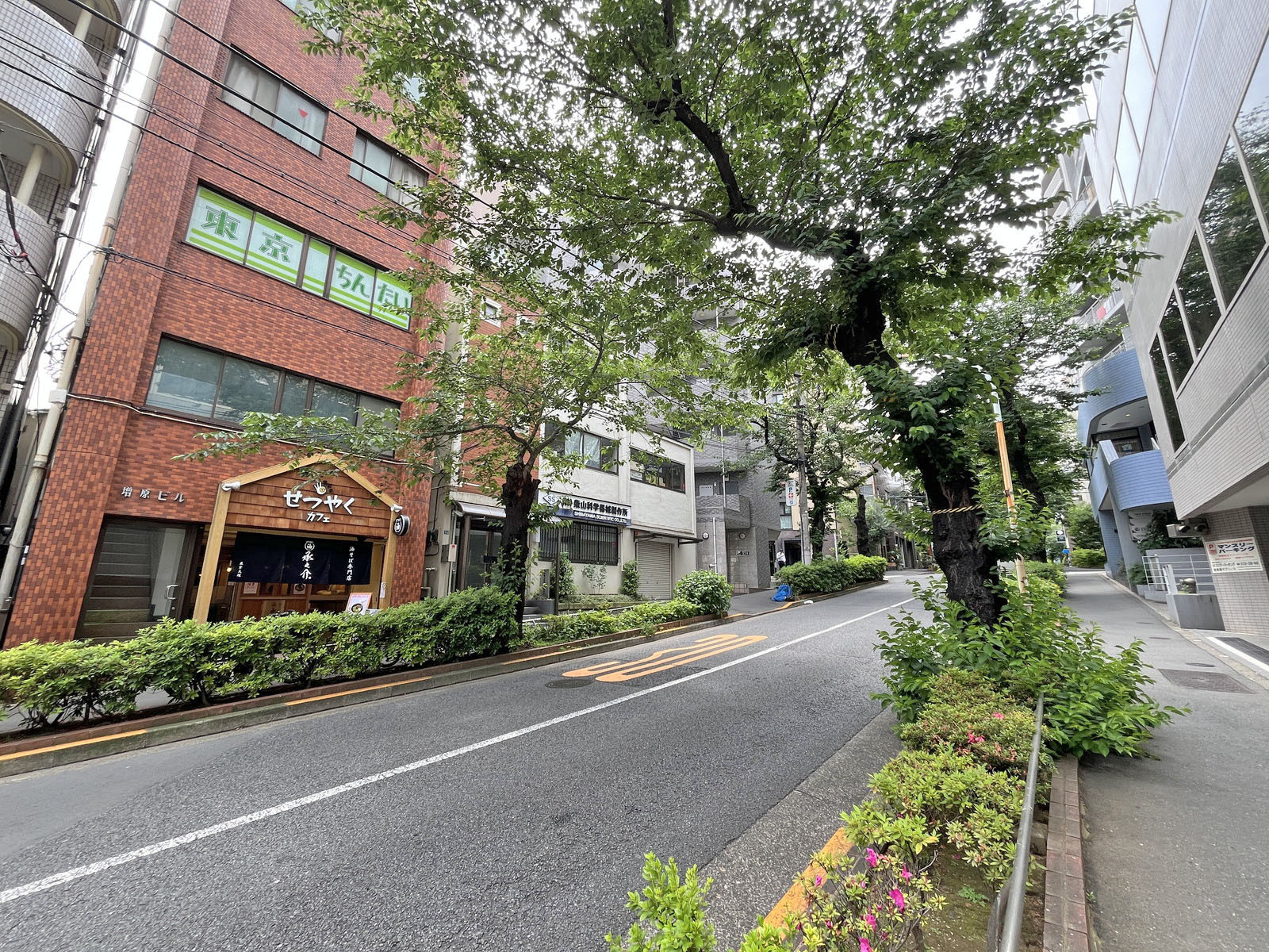 NOVEL WORK Otsuka前面通り