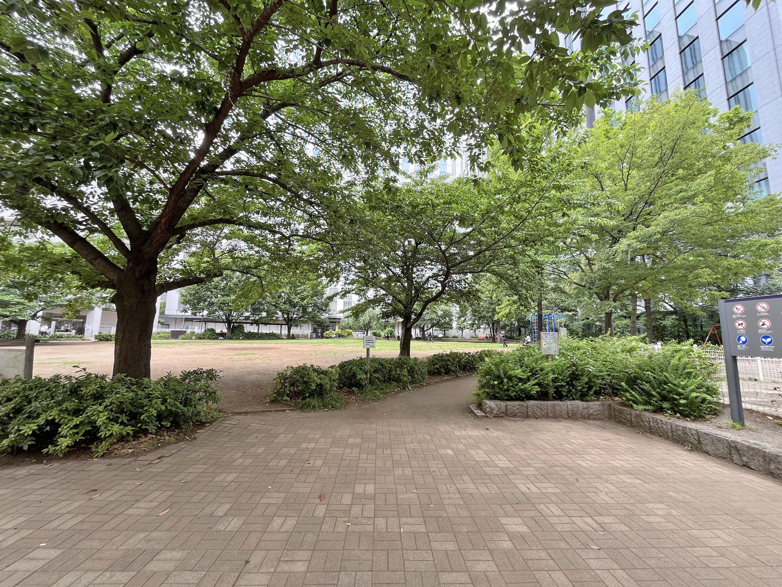 向かいの和泉公園