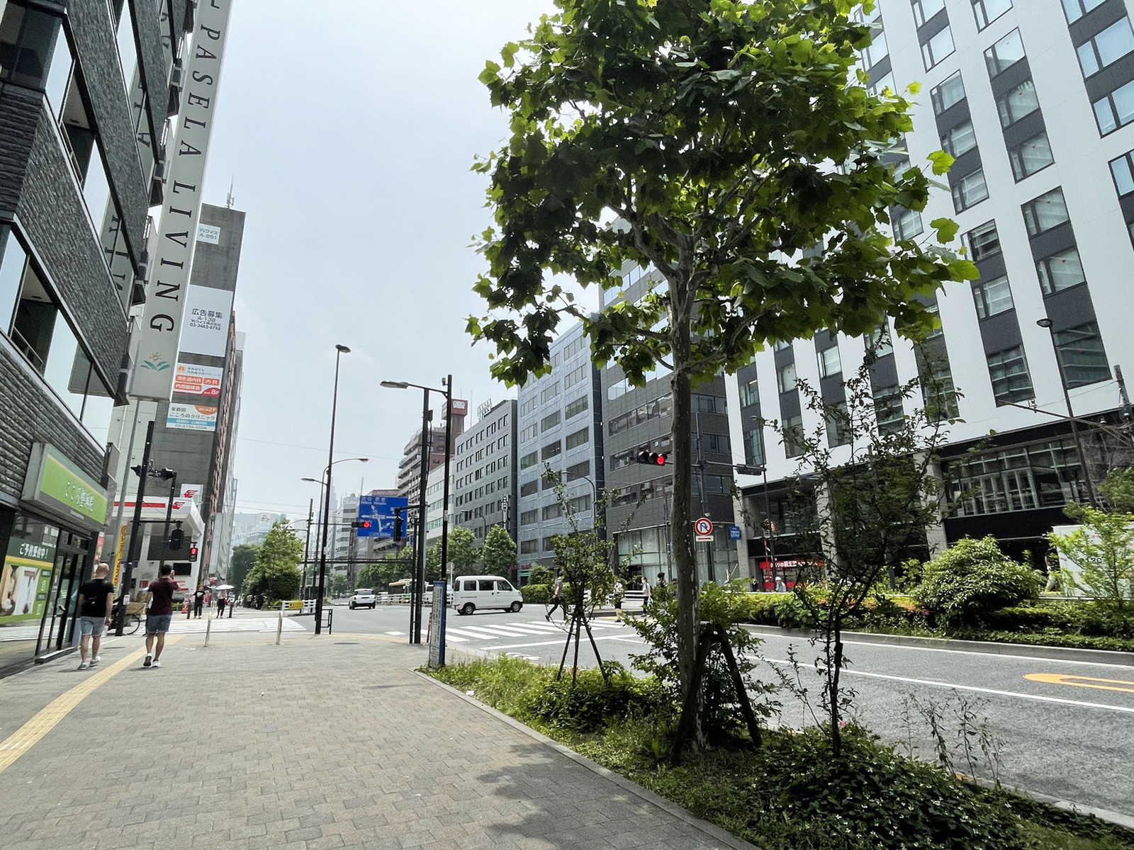 新宿桑原ビル前面の明治通り