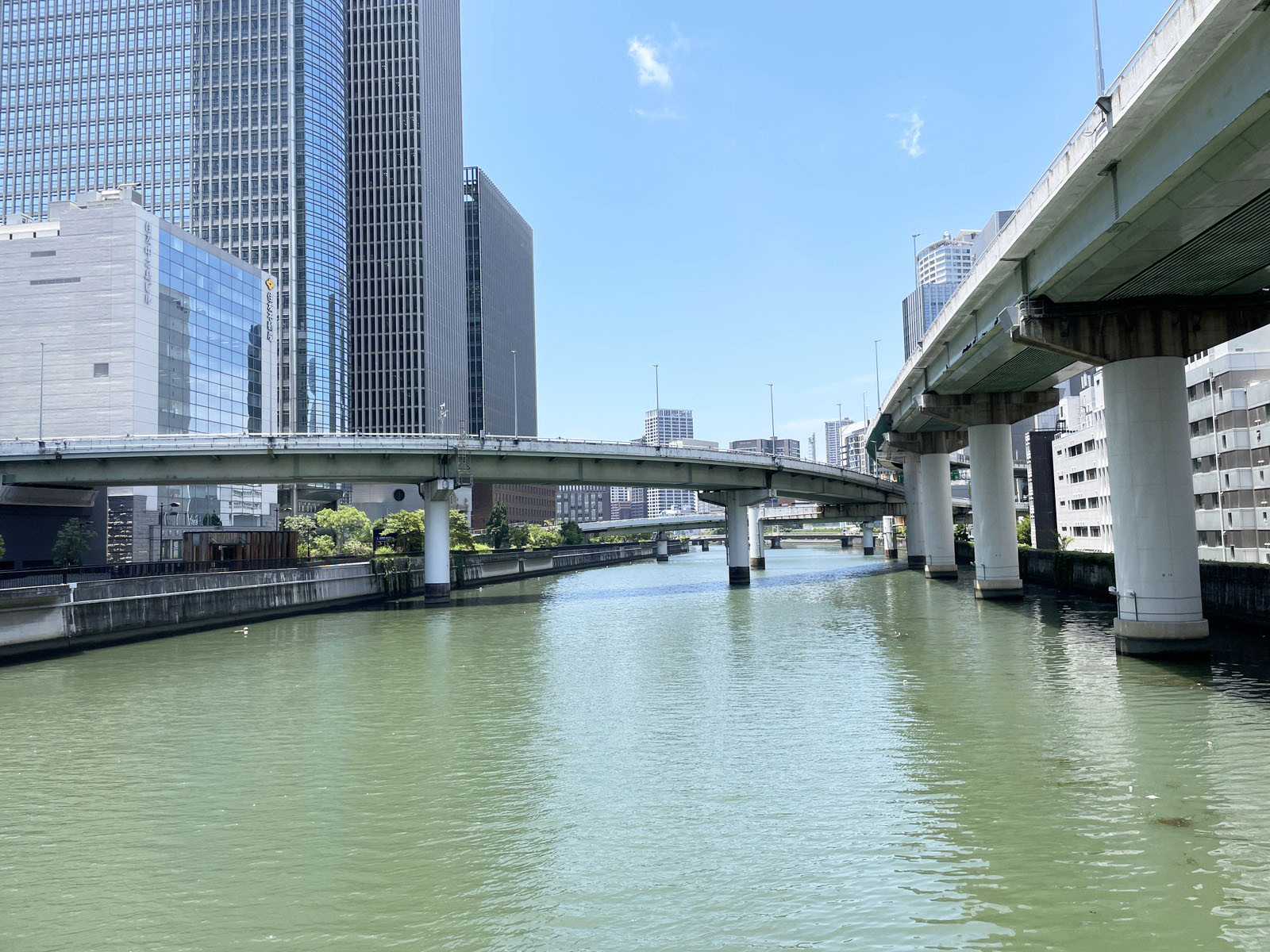向かいにある堂島川