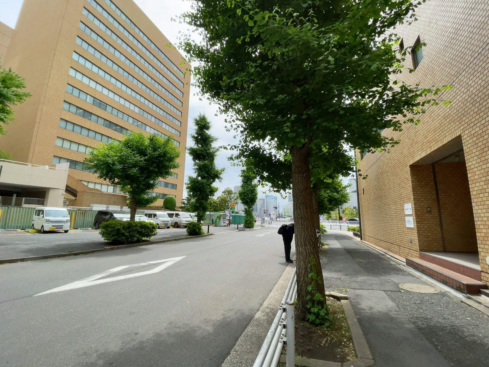 浜離宮建設プラザ別館前面の通り