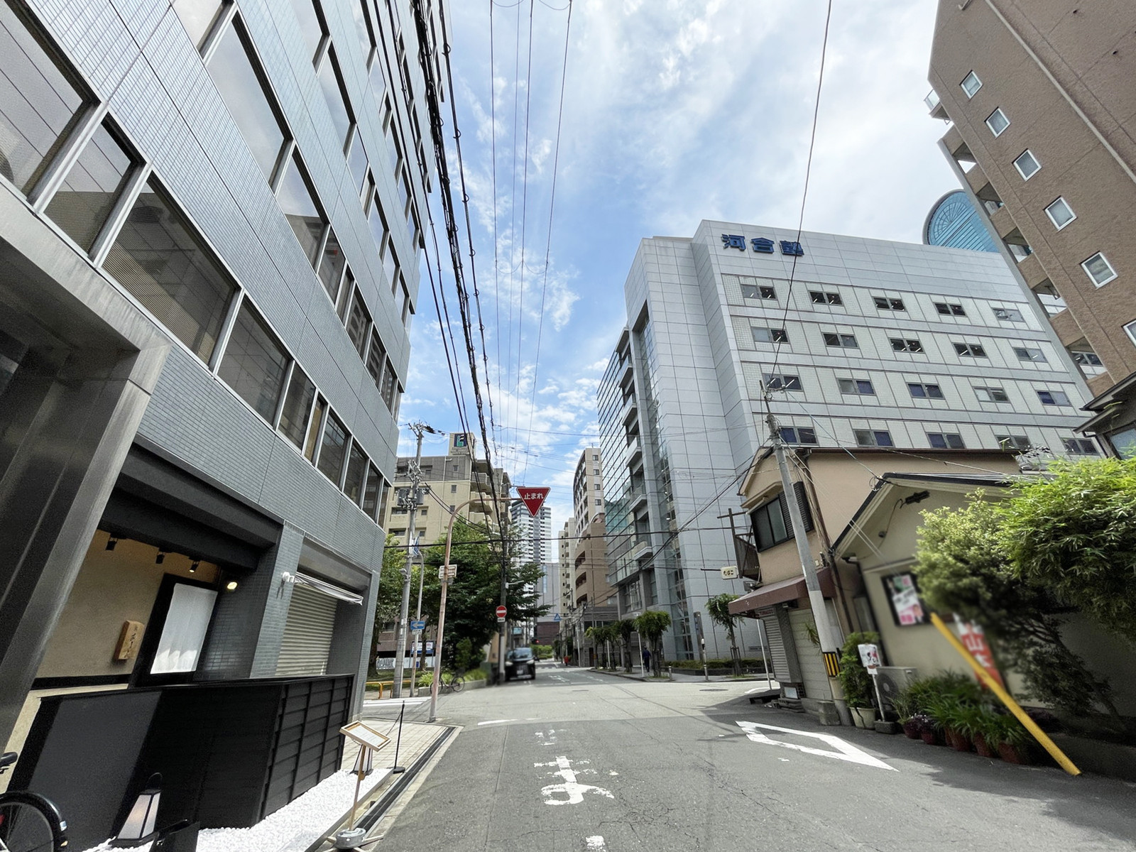 TOビル前面の通り