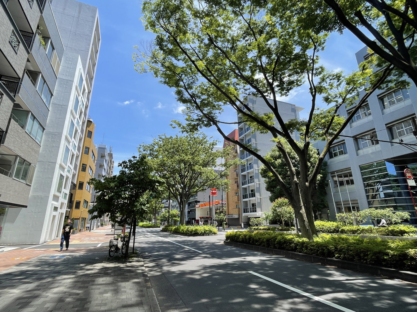 江戸川橋東誠ビル前面の早大通り