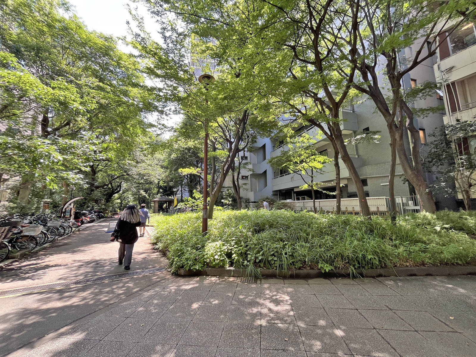 隣の初台緑道