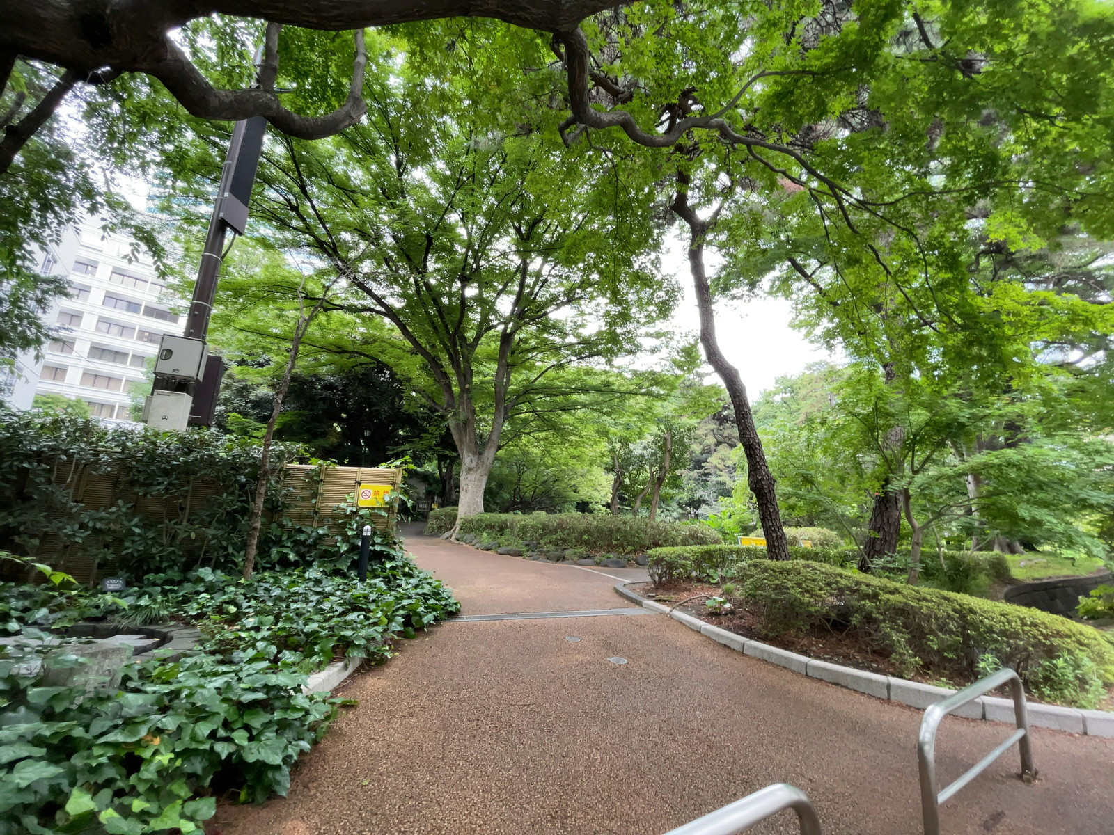 近くの清水谷公園