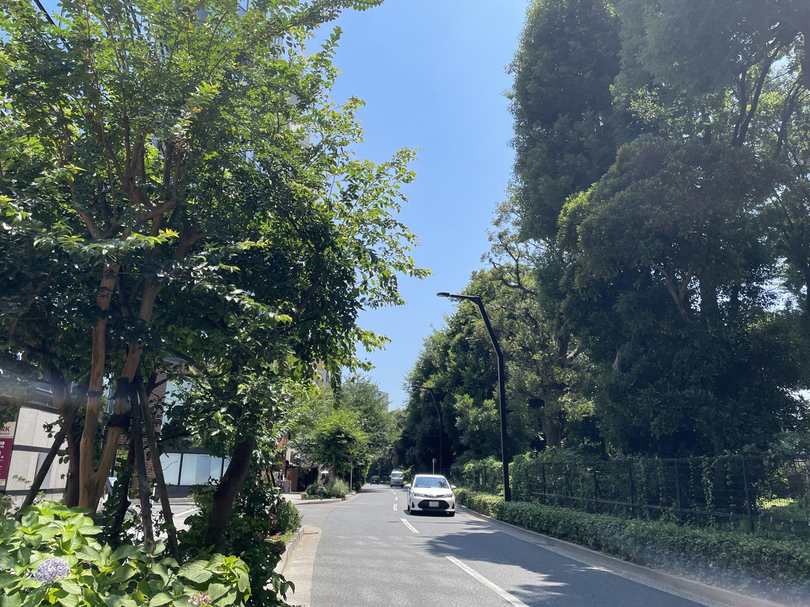 新宿御苑ビル前面の通り