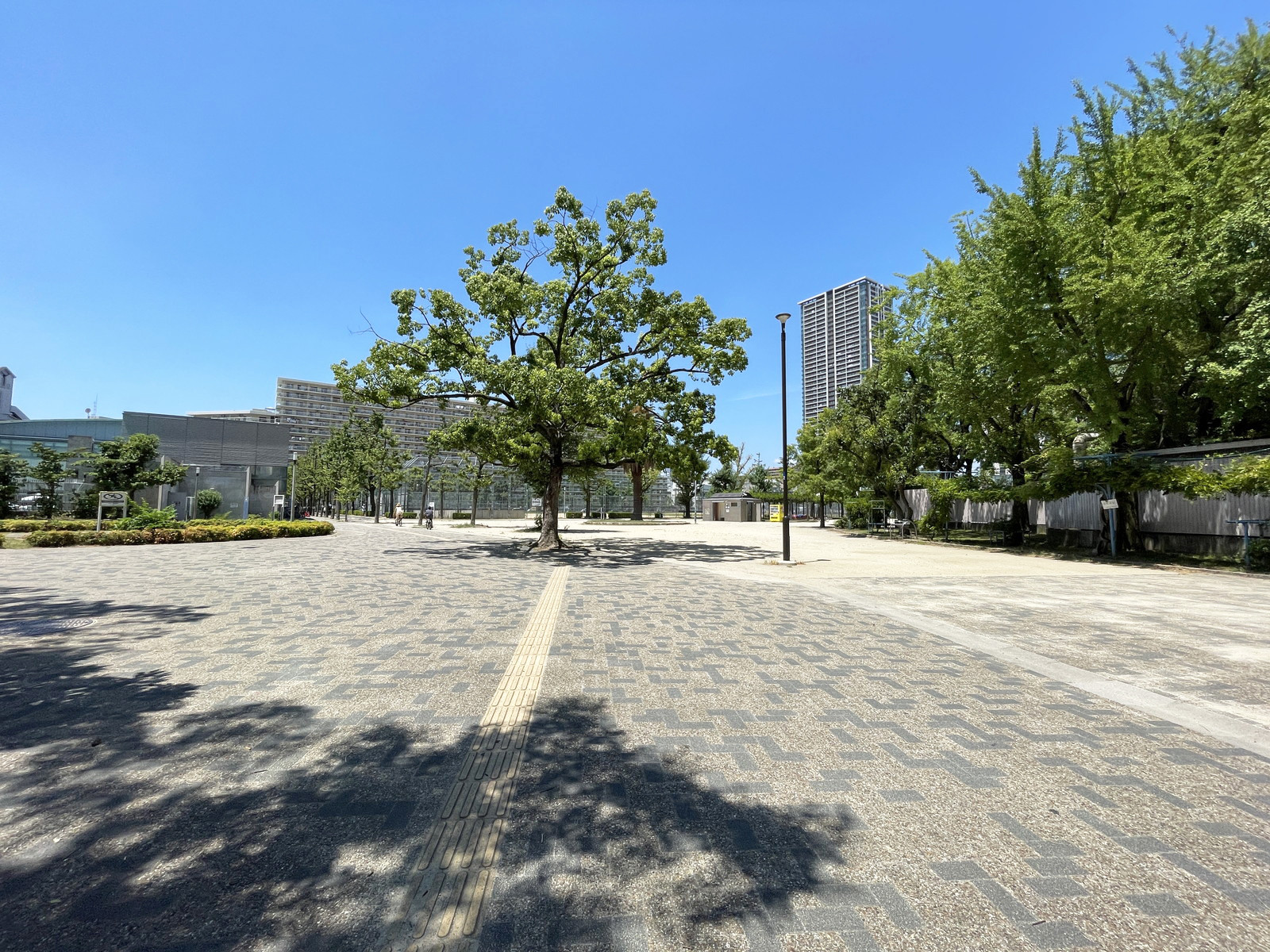 付近の下福島公園