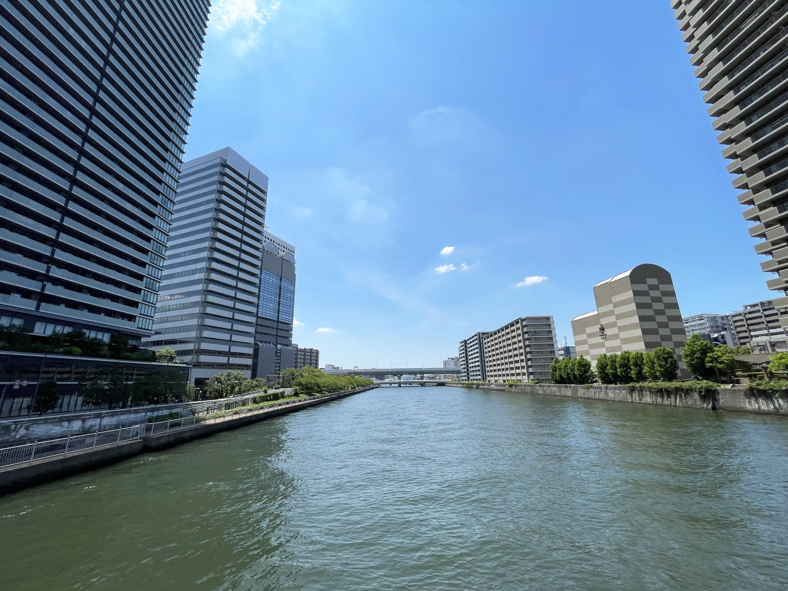 近くの堂島川