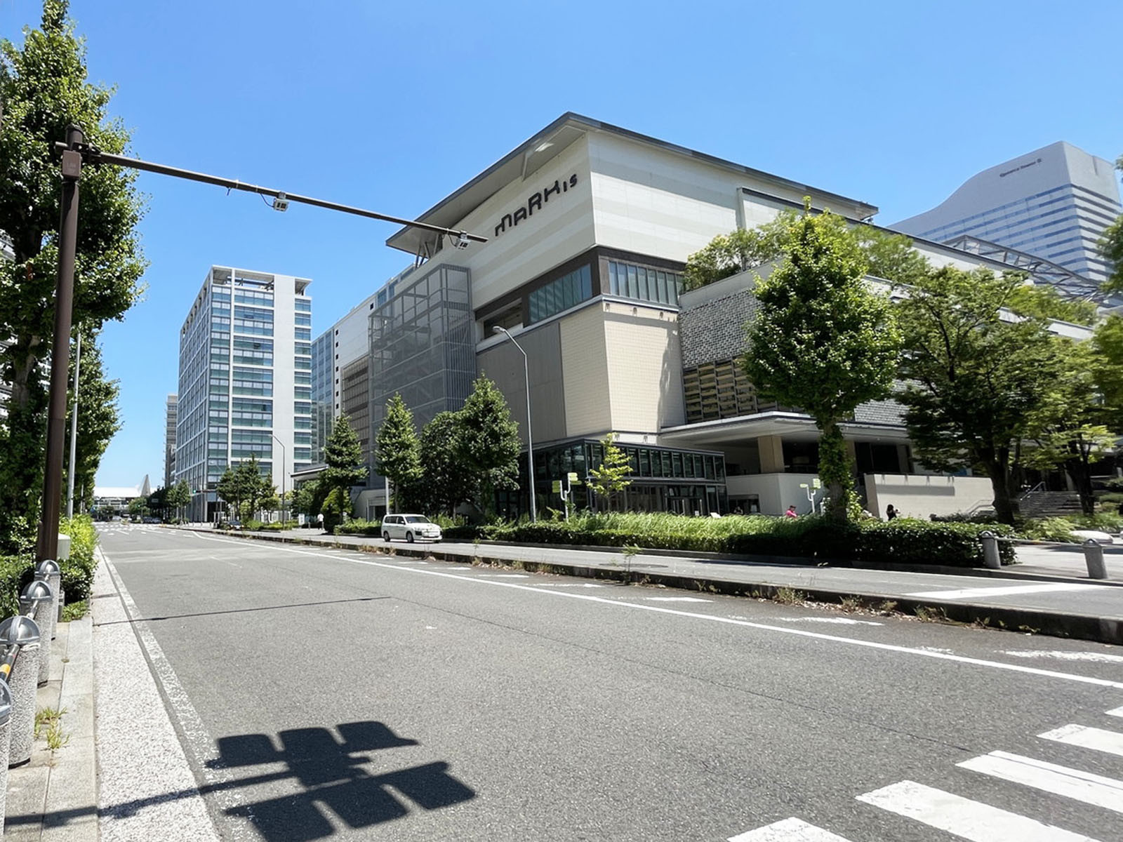 みなとみらいグランドセントラルタワー前面のいちょう通り