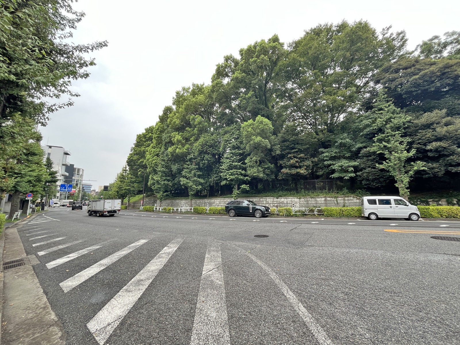パークサイド山本館前面の井の頭通り