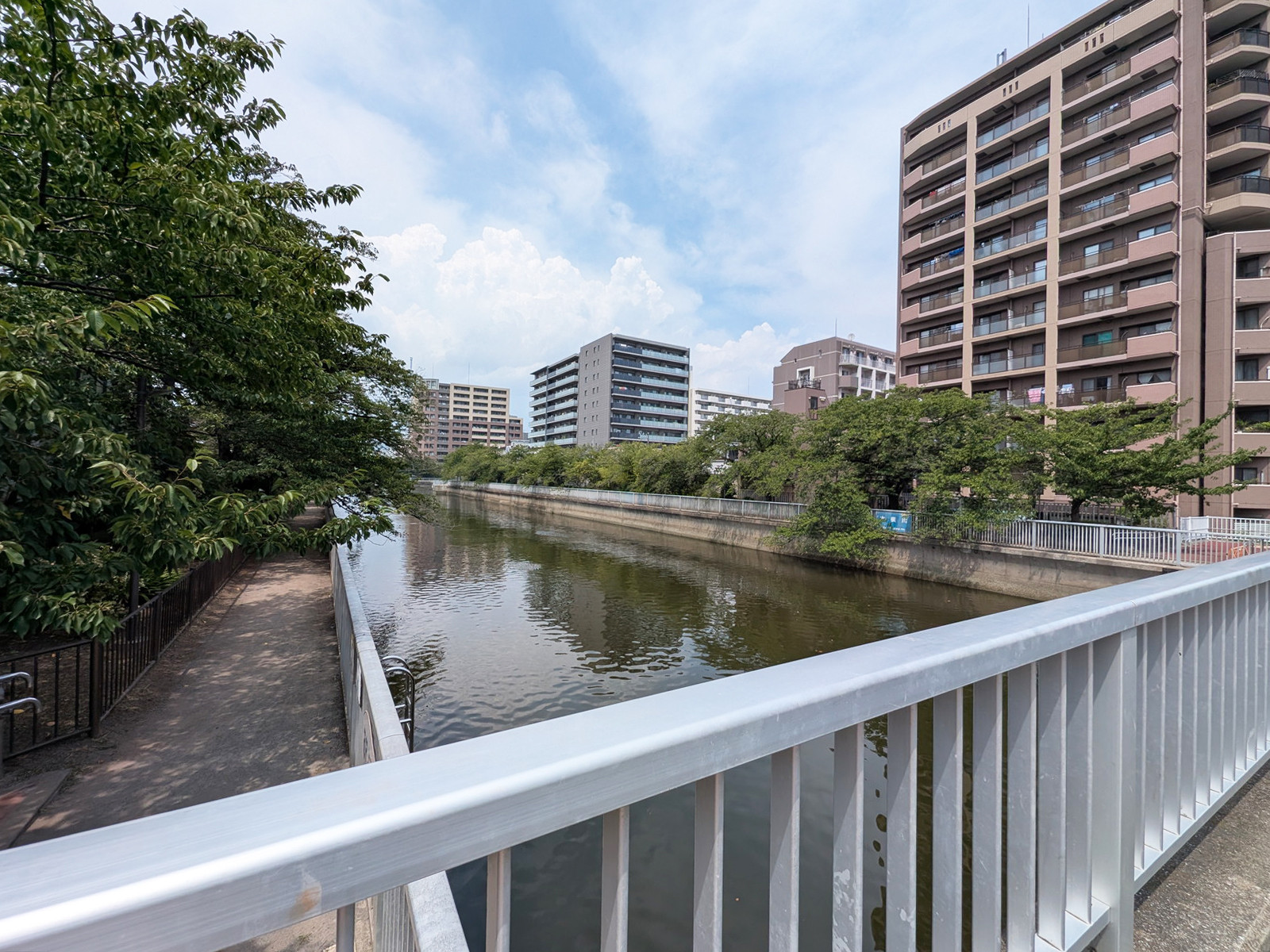 付近の大横川
