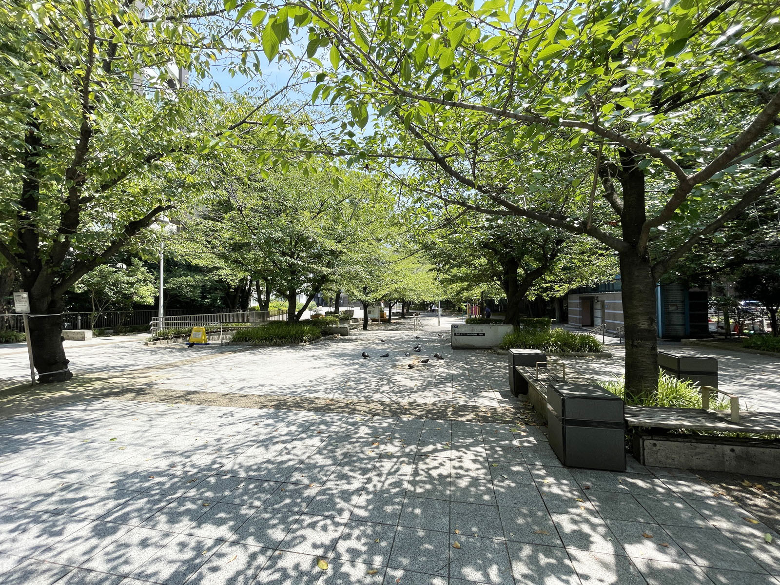 近くの桜川公園