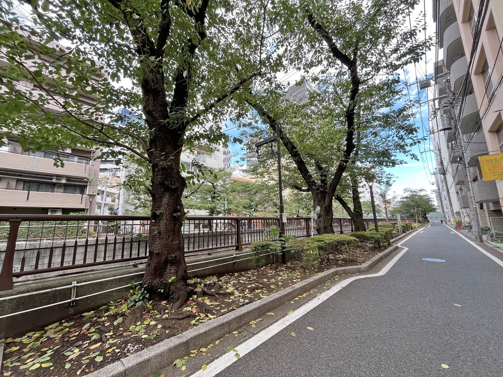 東山神興ビル前面の目黒川