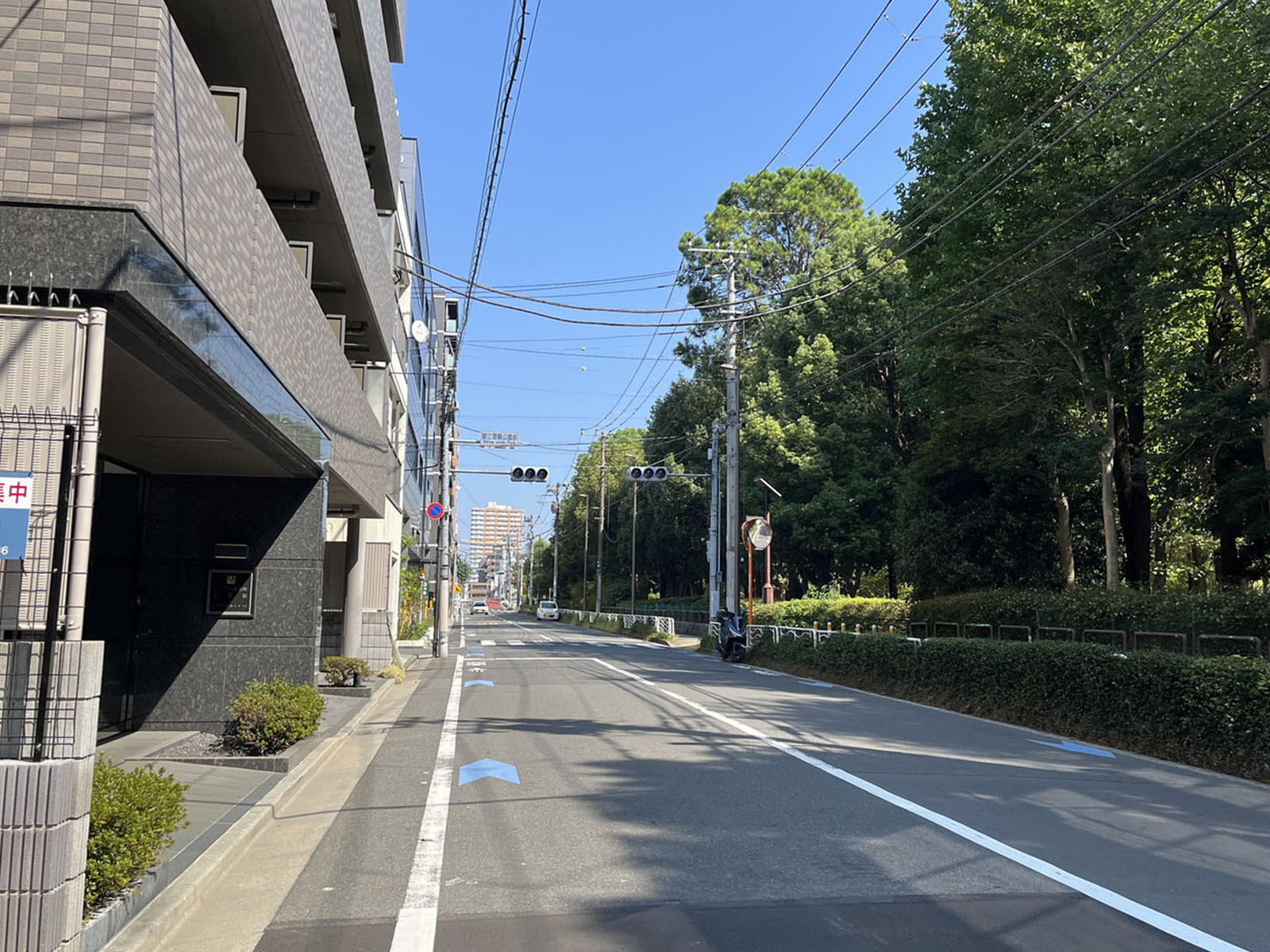 プロロジスアーバン東京錦糸町1前面の通り