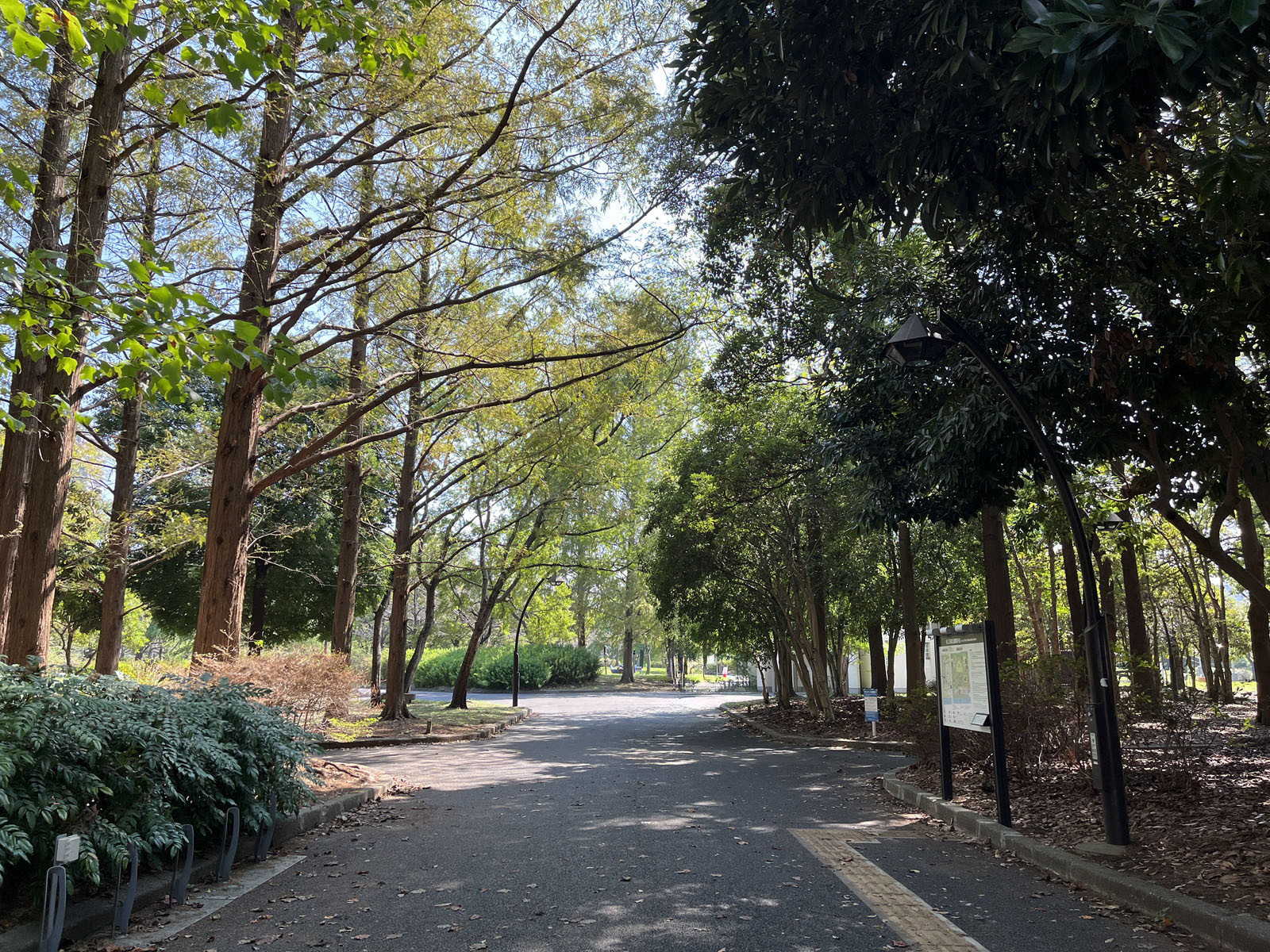 向かいの猿江恩賜公園
