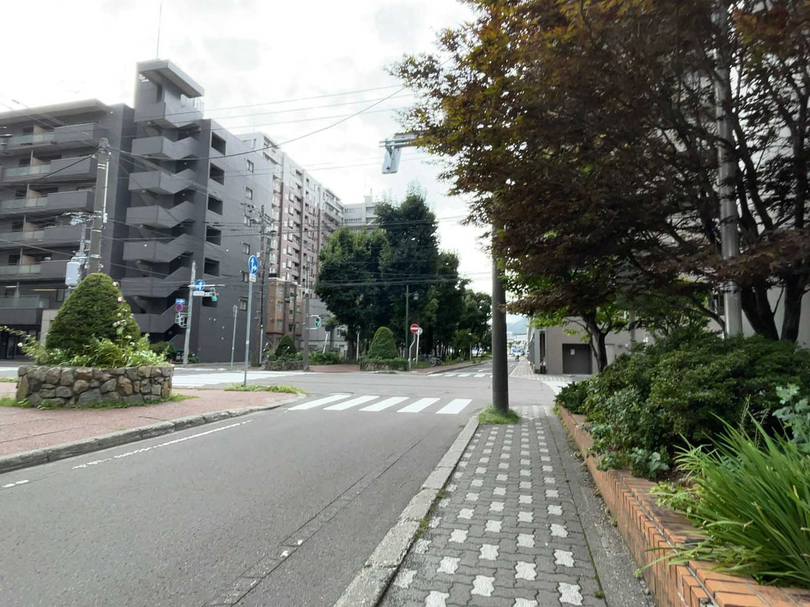 リアライズ札幌第1ビル前面の通り
