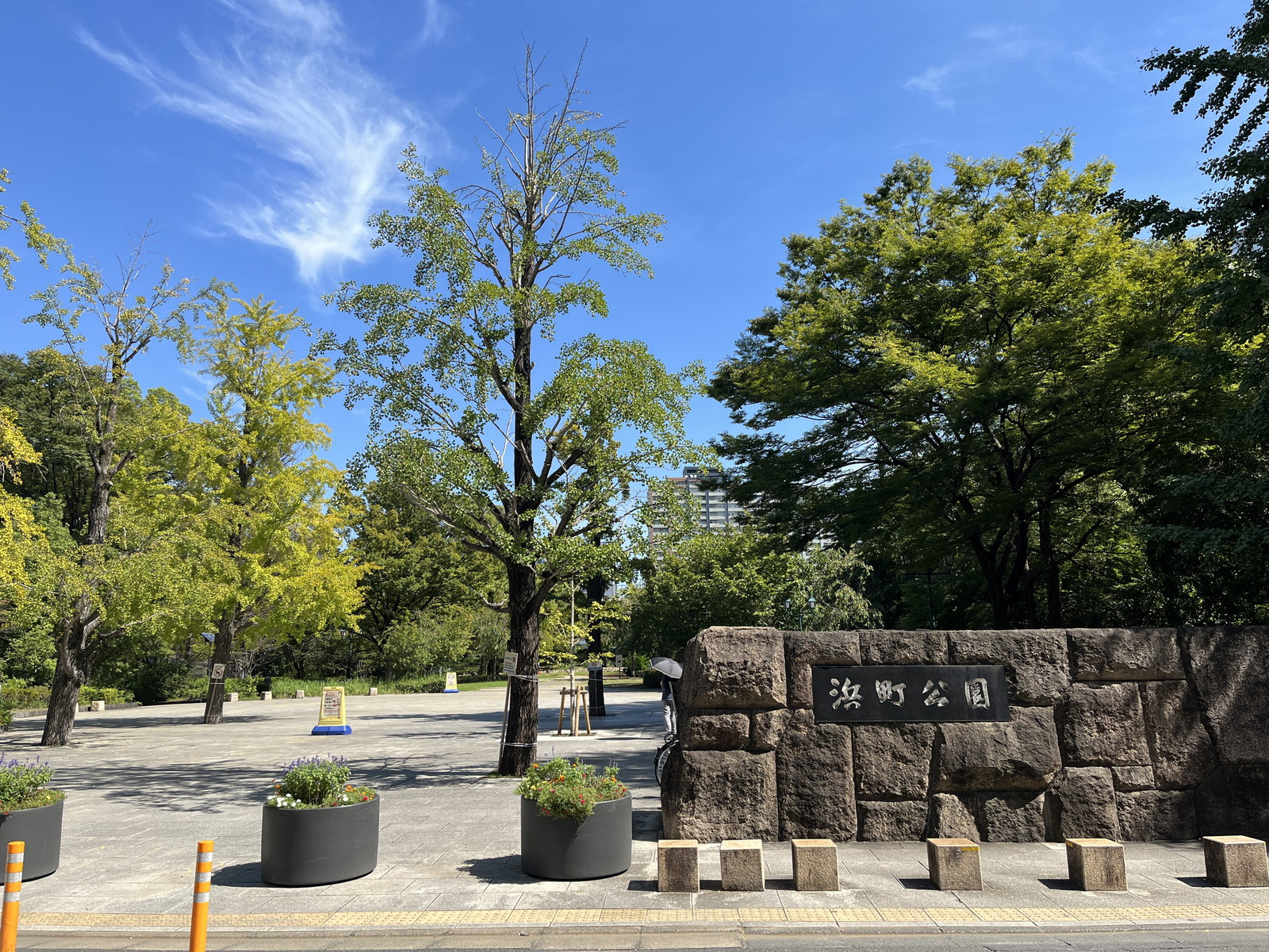 浜町公園向かいの静かな環境