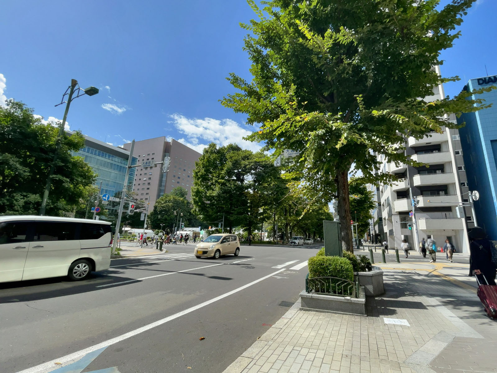 エムズ大通ビル前面の大通り