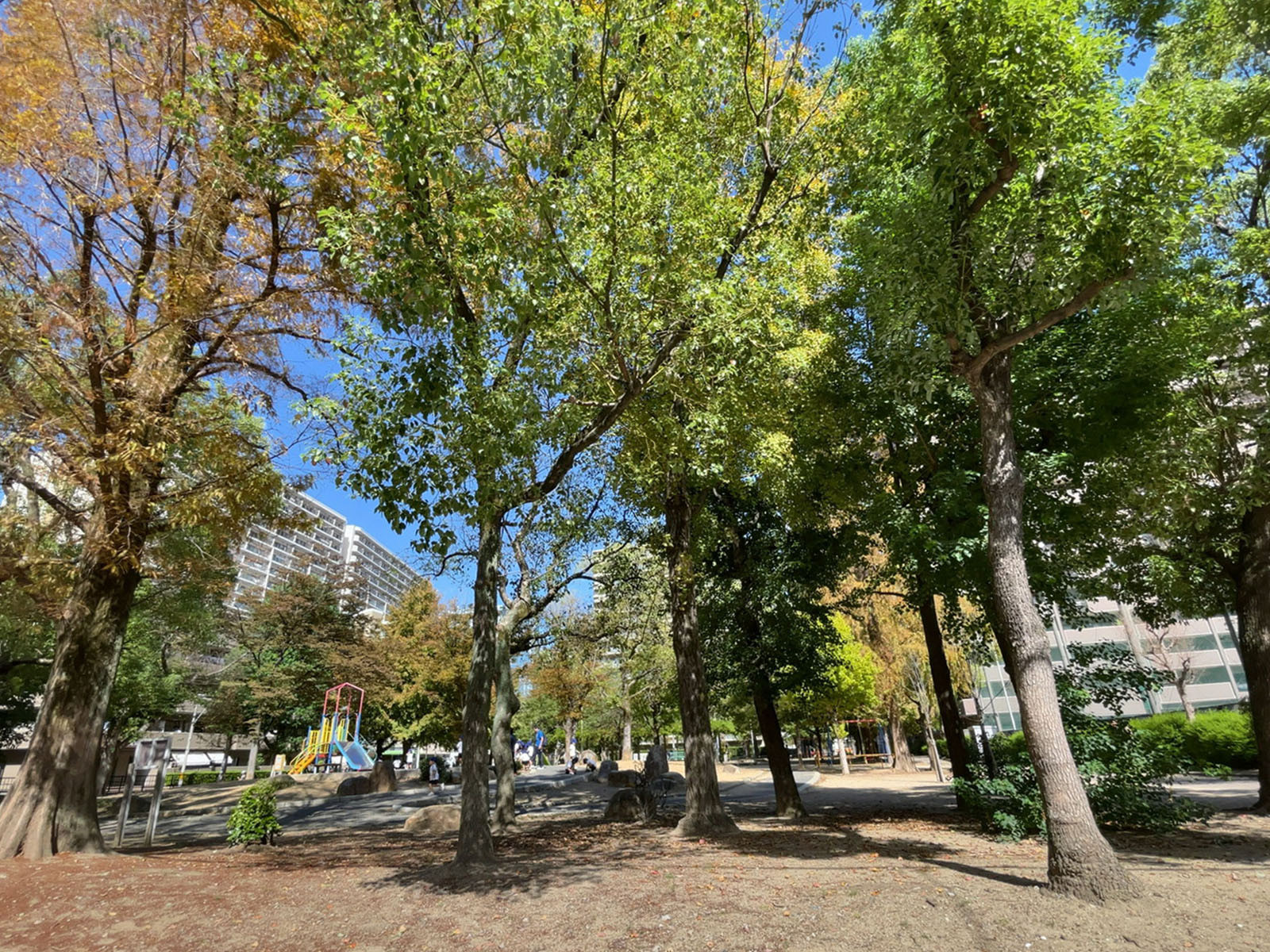 至近の鷺洲上公園