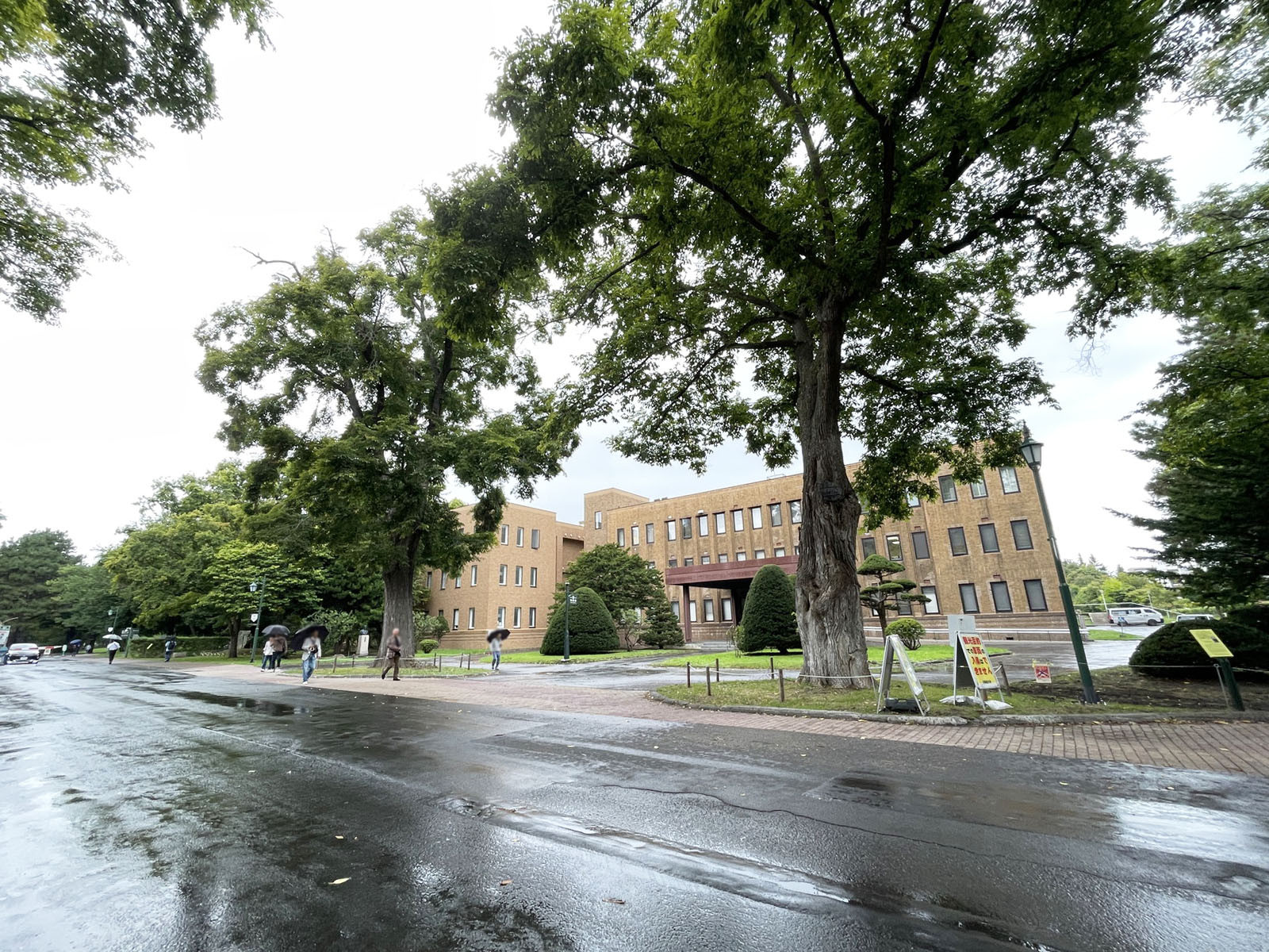 近くの北海道大学