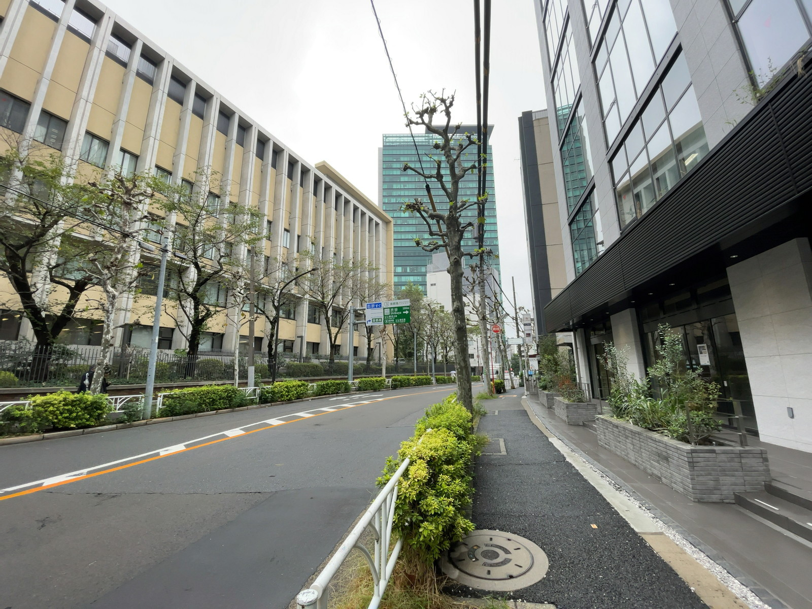 COERU渋谷二丁目前面の通り