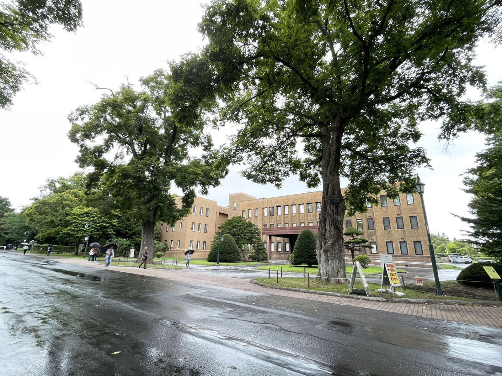 付近の北海道大学