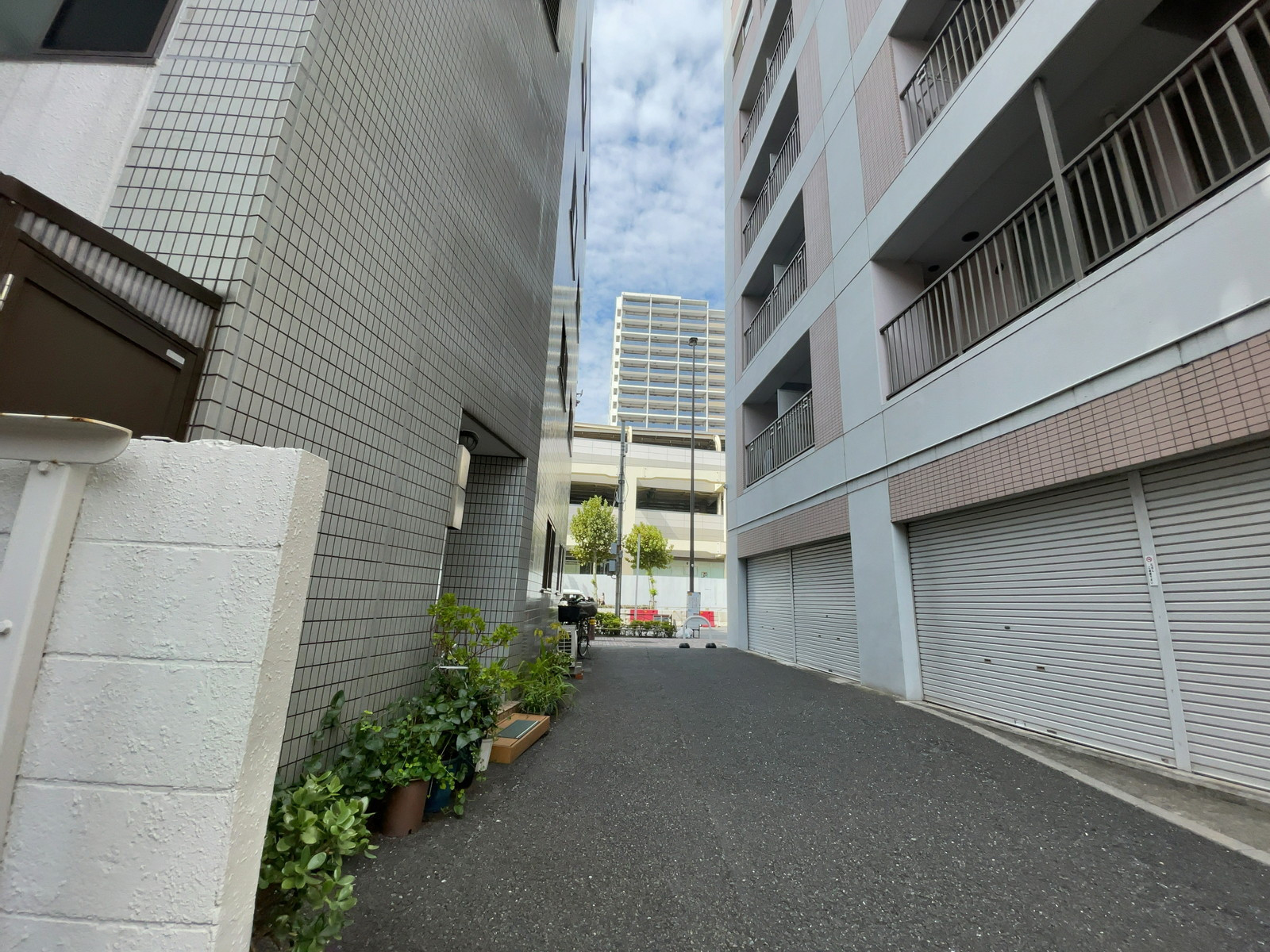 サテライトEビル前面の通り