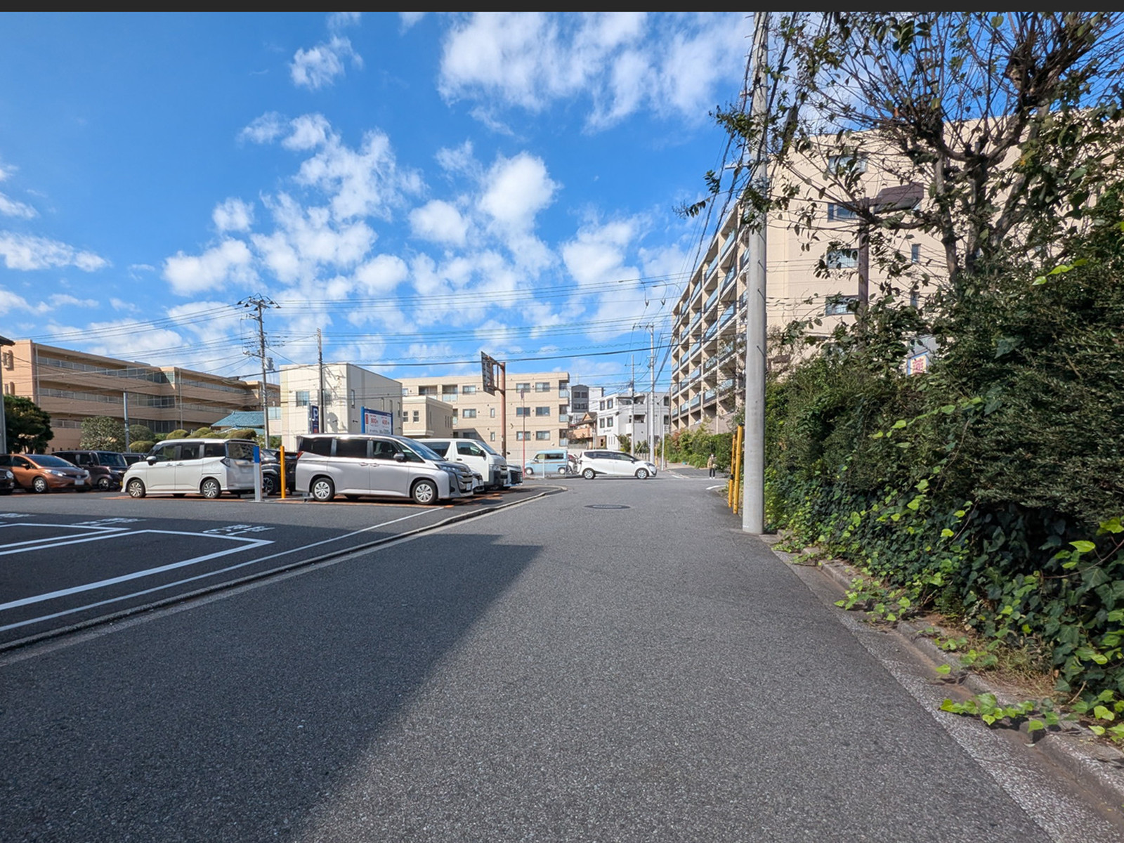 石橋ビル アネックス前面の通り