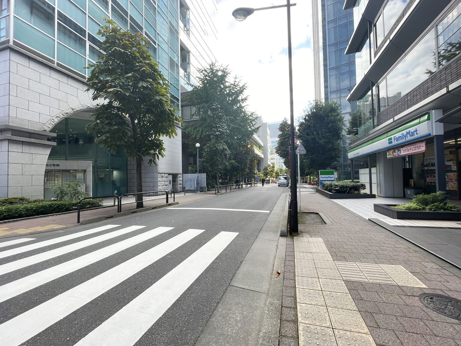 化学会館前面のとちの木通り