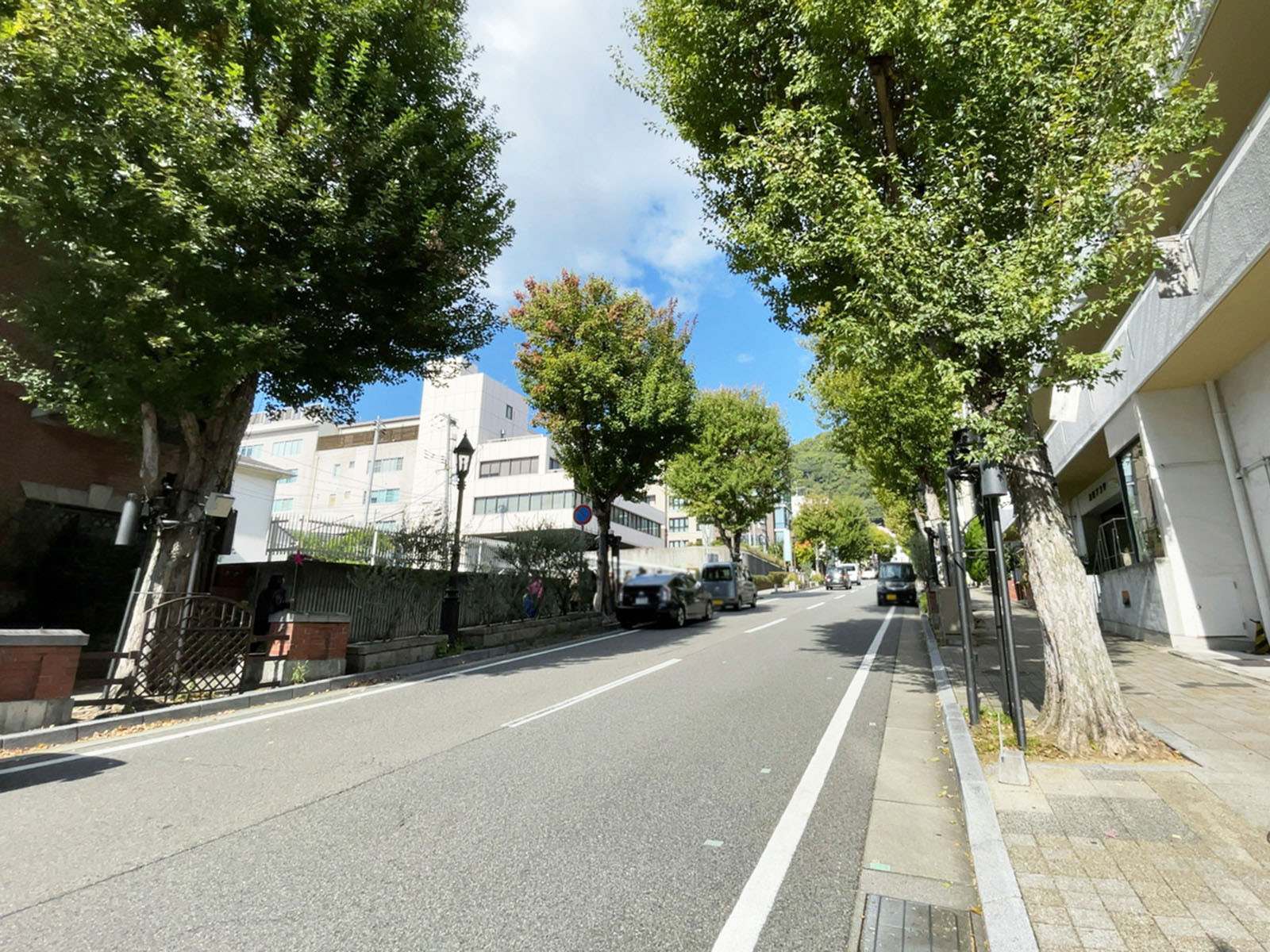 ブーミン北野前面の通り