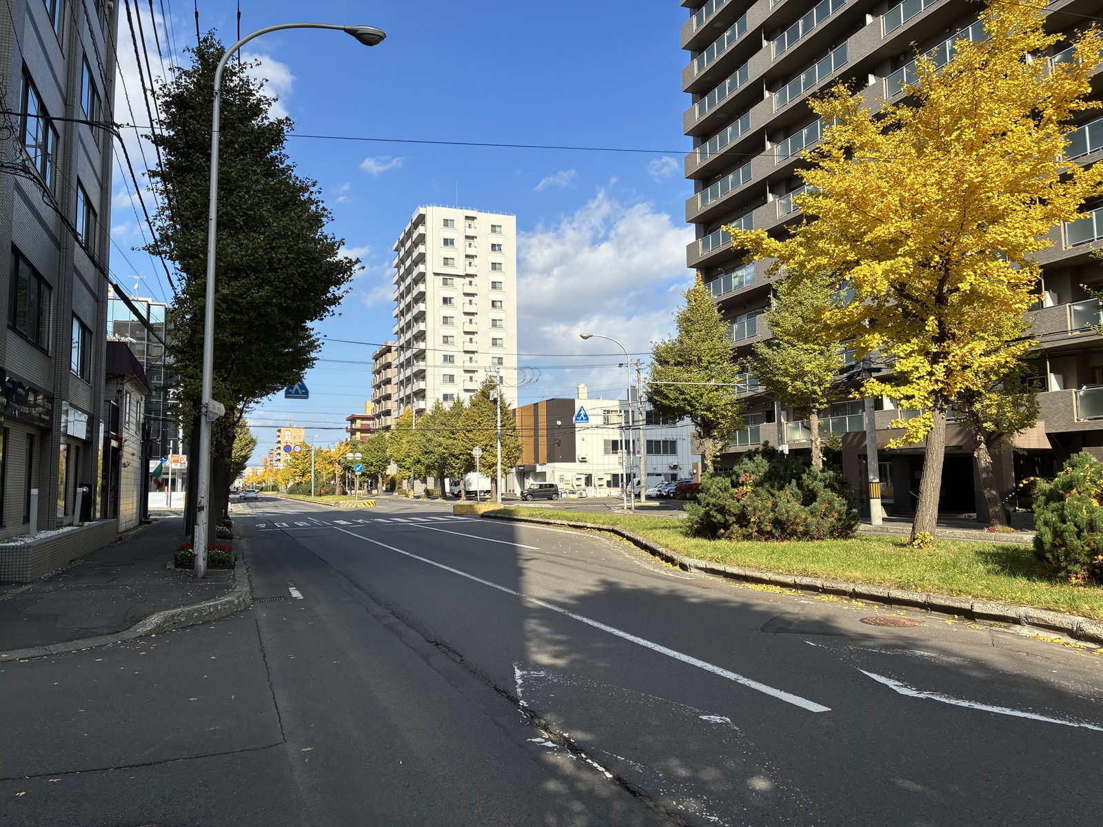 カレラ円山前面の通り