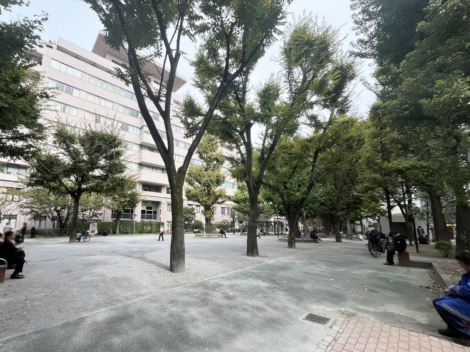 近くの西町公園