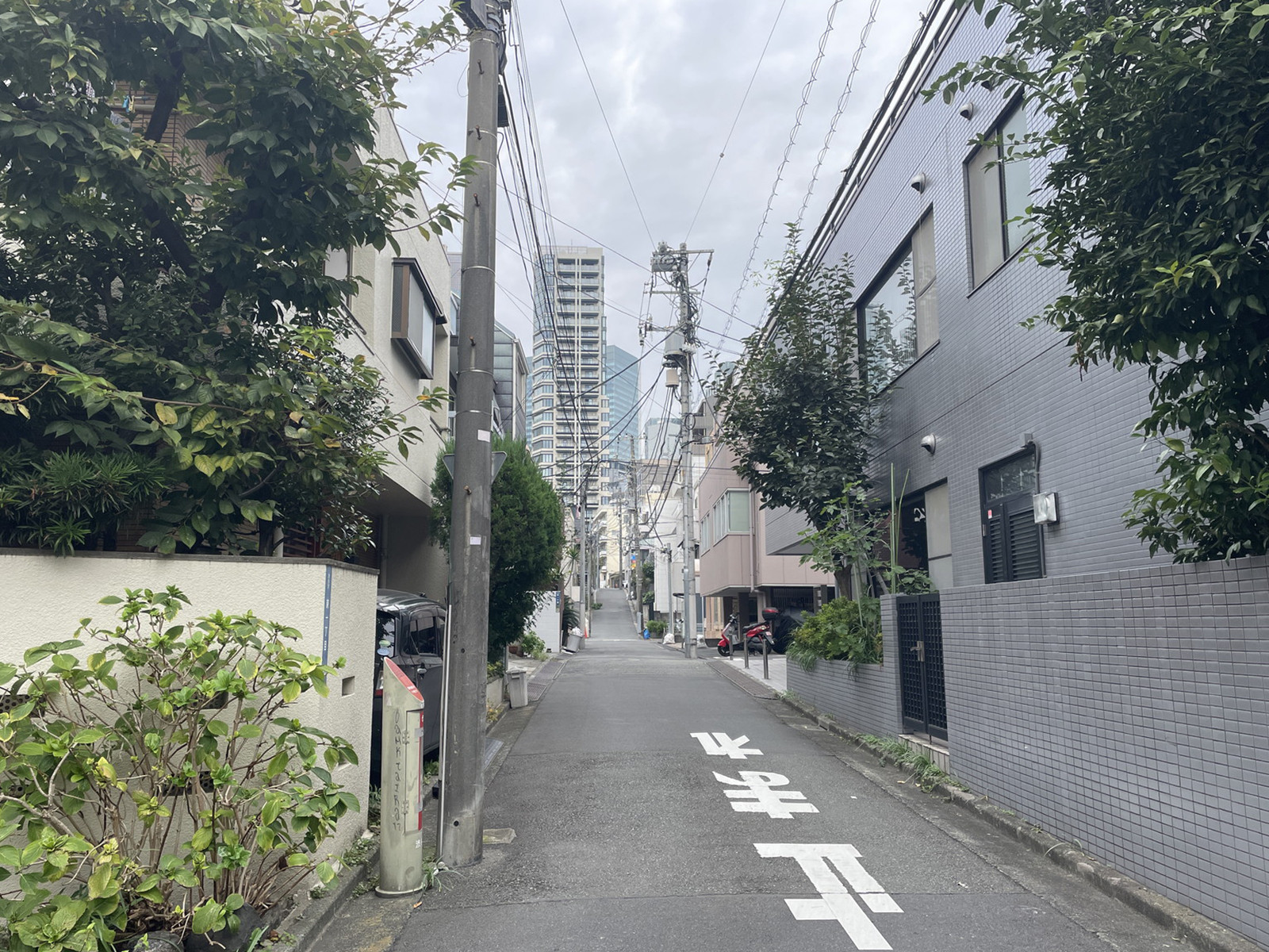 イースト常盤松前面の通り