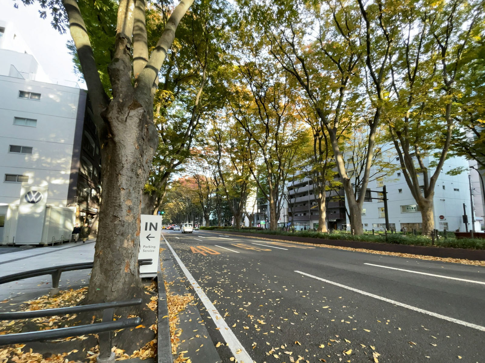 春日町ファインビル前面の定禅寺通