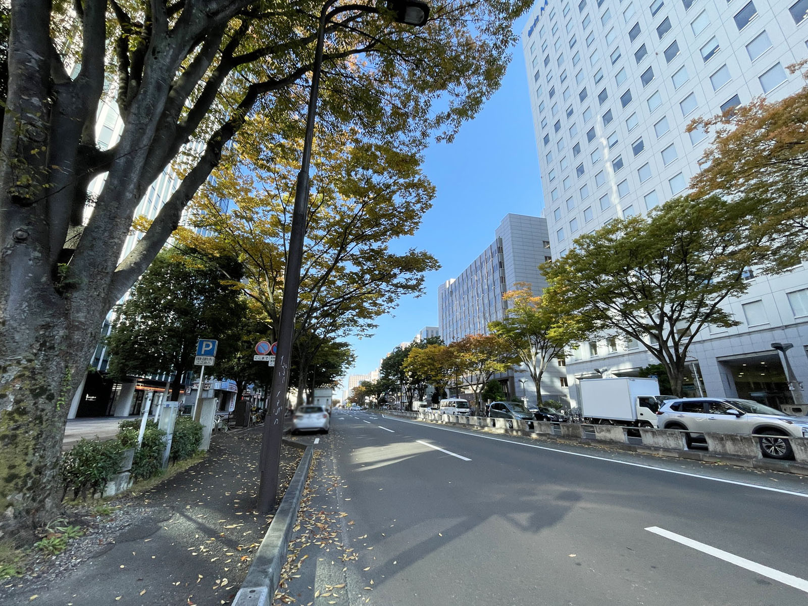 損保ジャパン仙台ビル前面の通り
