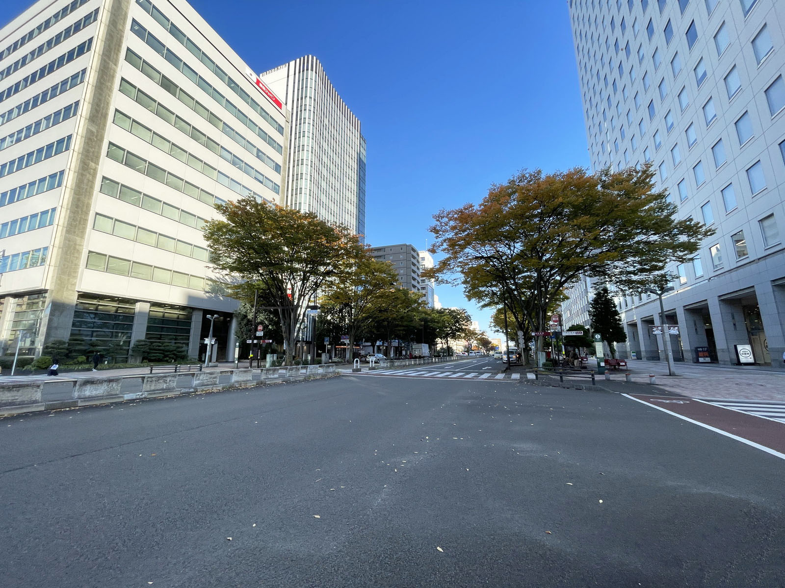 パルシティ仙台前面の通り