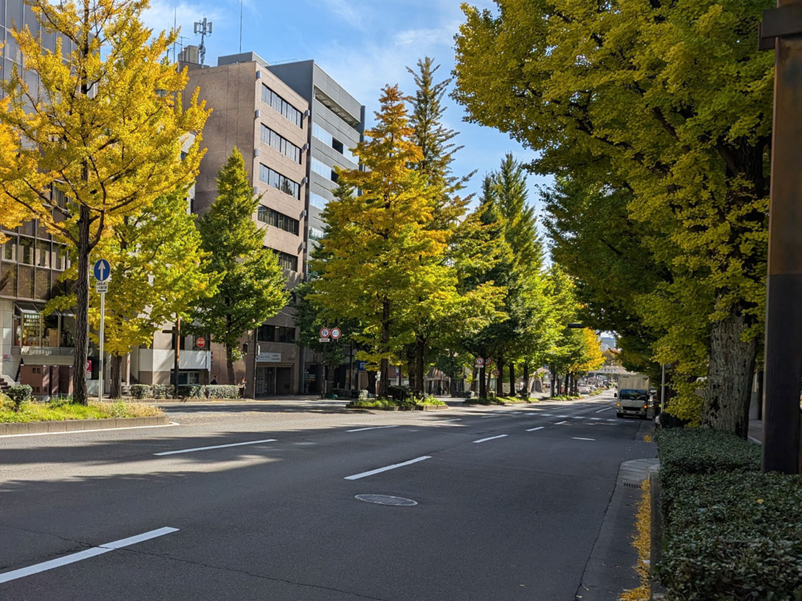 第二日本オフィスビル前面の愛宕上杉通