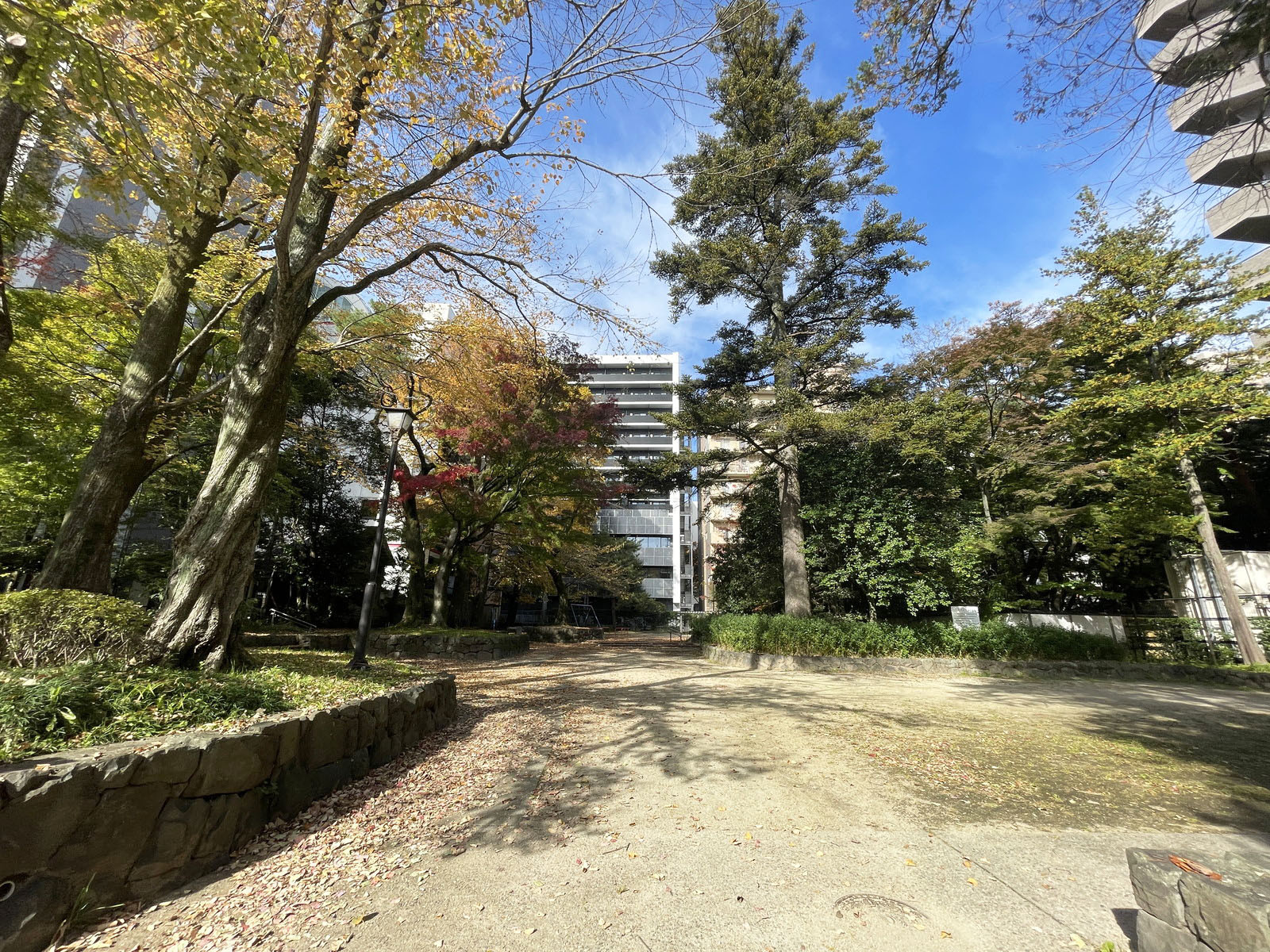 周辺の良覚院丁公園