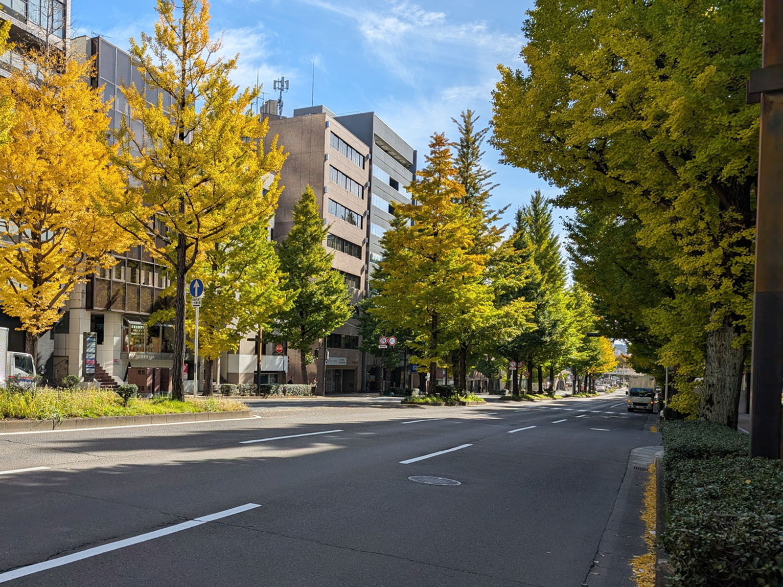 第六広瀬ビル前面の愛宕上杉通