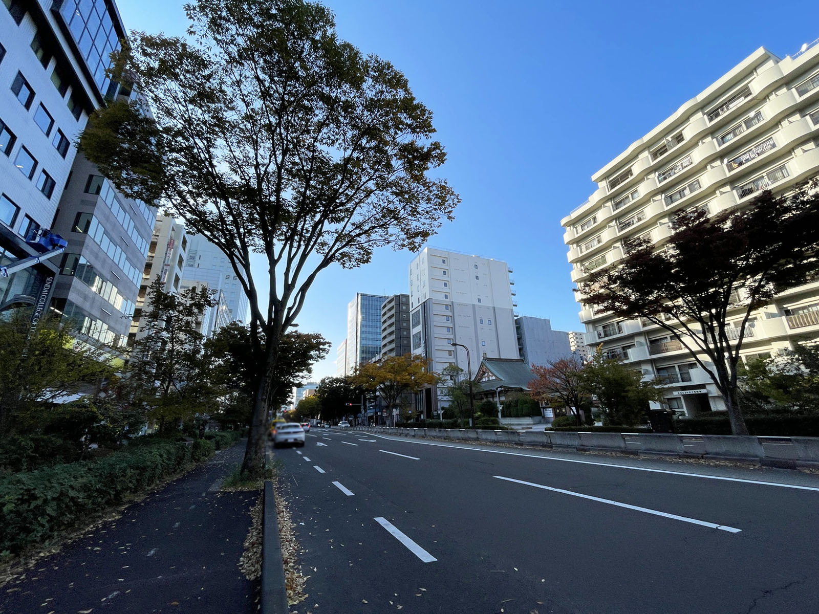 L.Biz仙台前面の通り