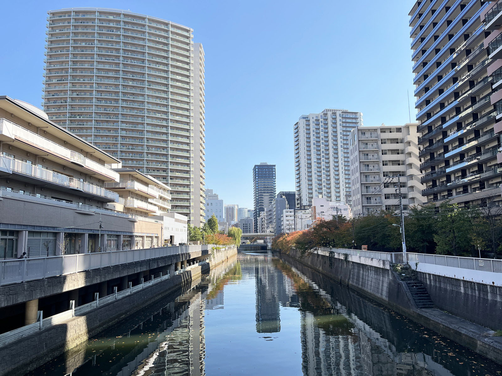 近辺の目黒川