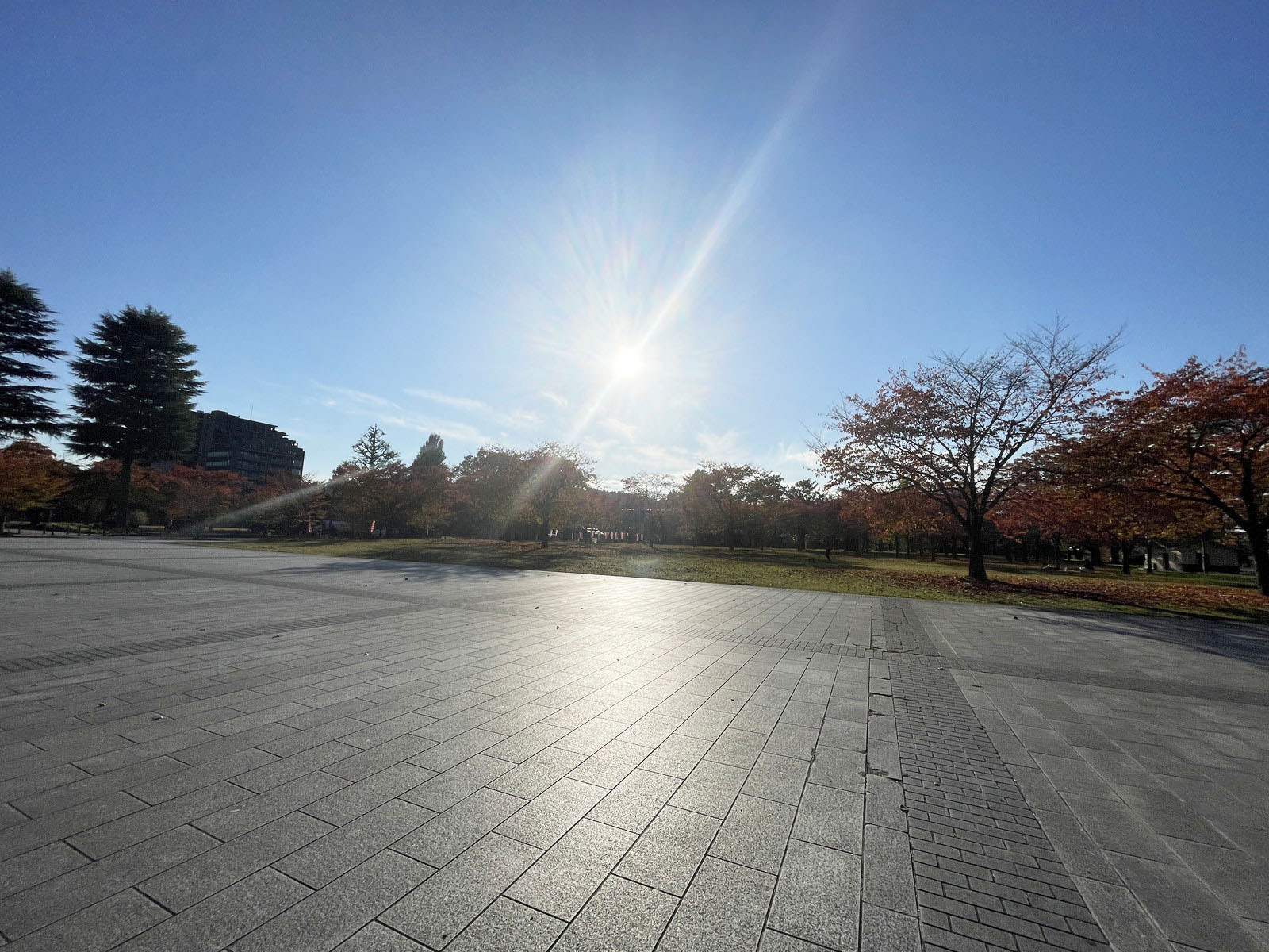 徒歩3分の西公園