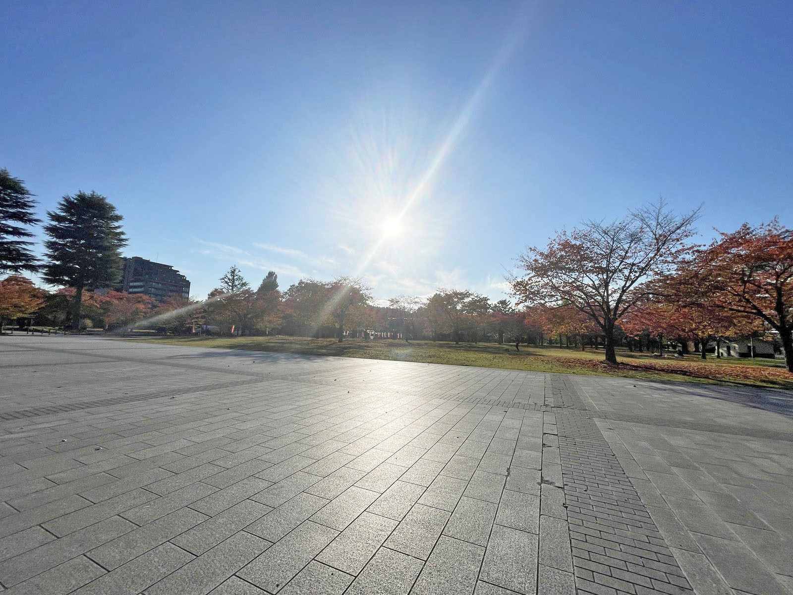 徒歩2分の西公園