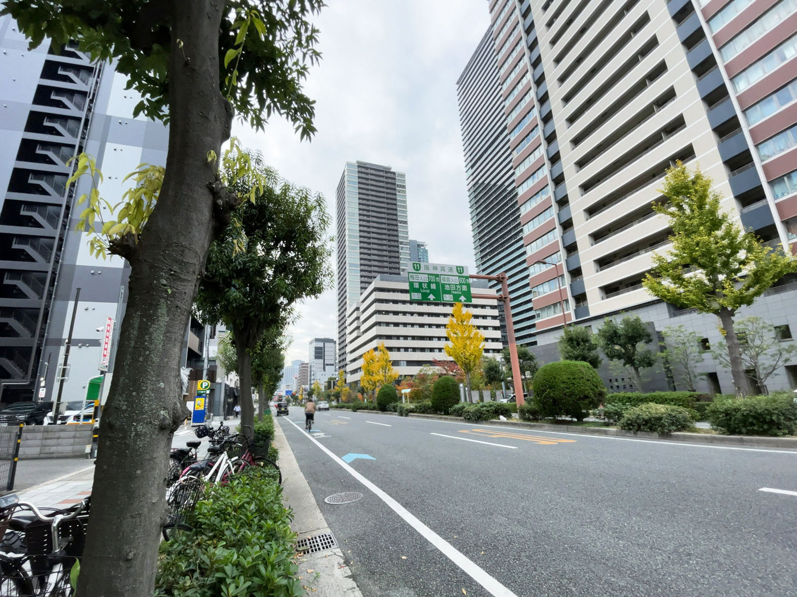 山彦ビル前面の通り
