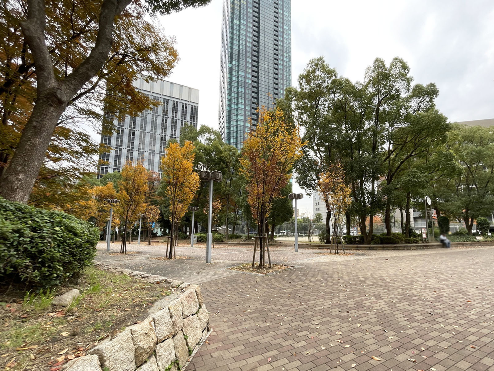 近くの上福島北公園